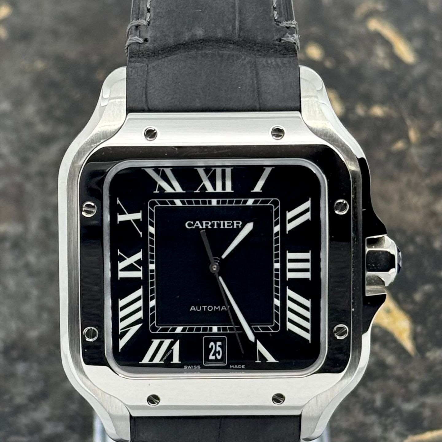Cartier Santos WSSA0096 - (3/8)