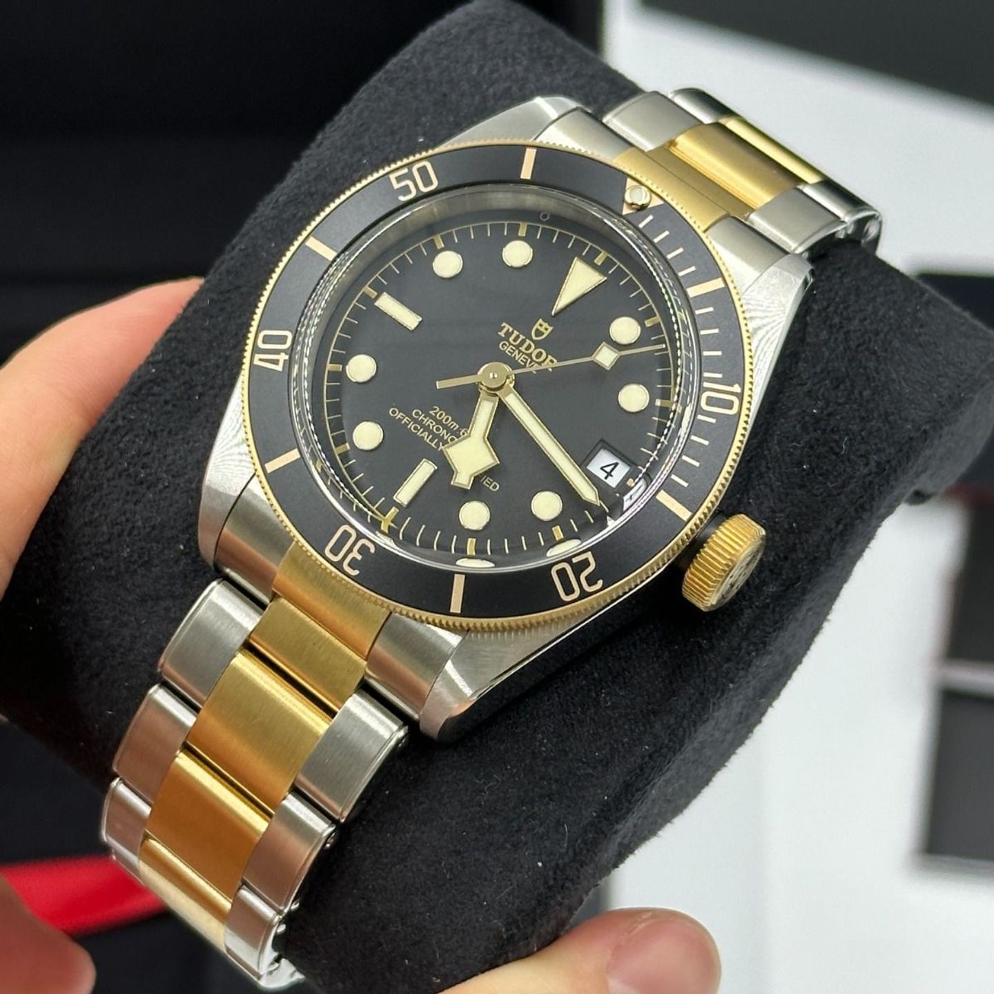 Tudor Black Bay S&G 79733N-0008 - (2/8)