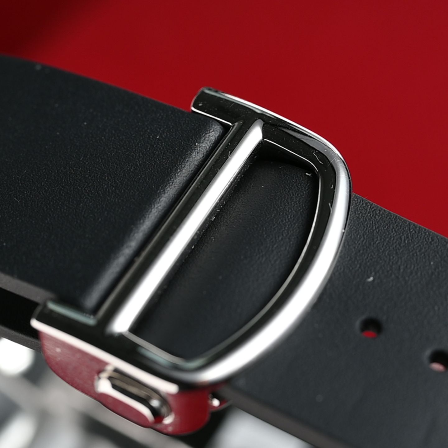 Cartier Santos WSSA0039 - (5/6)