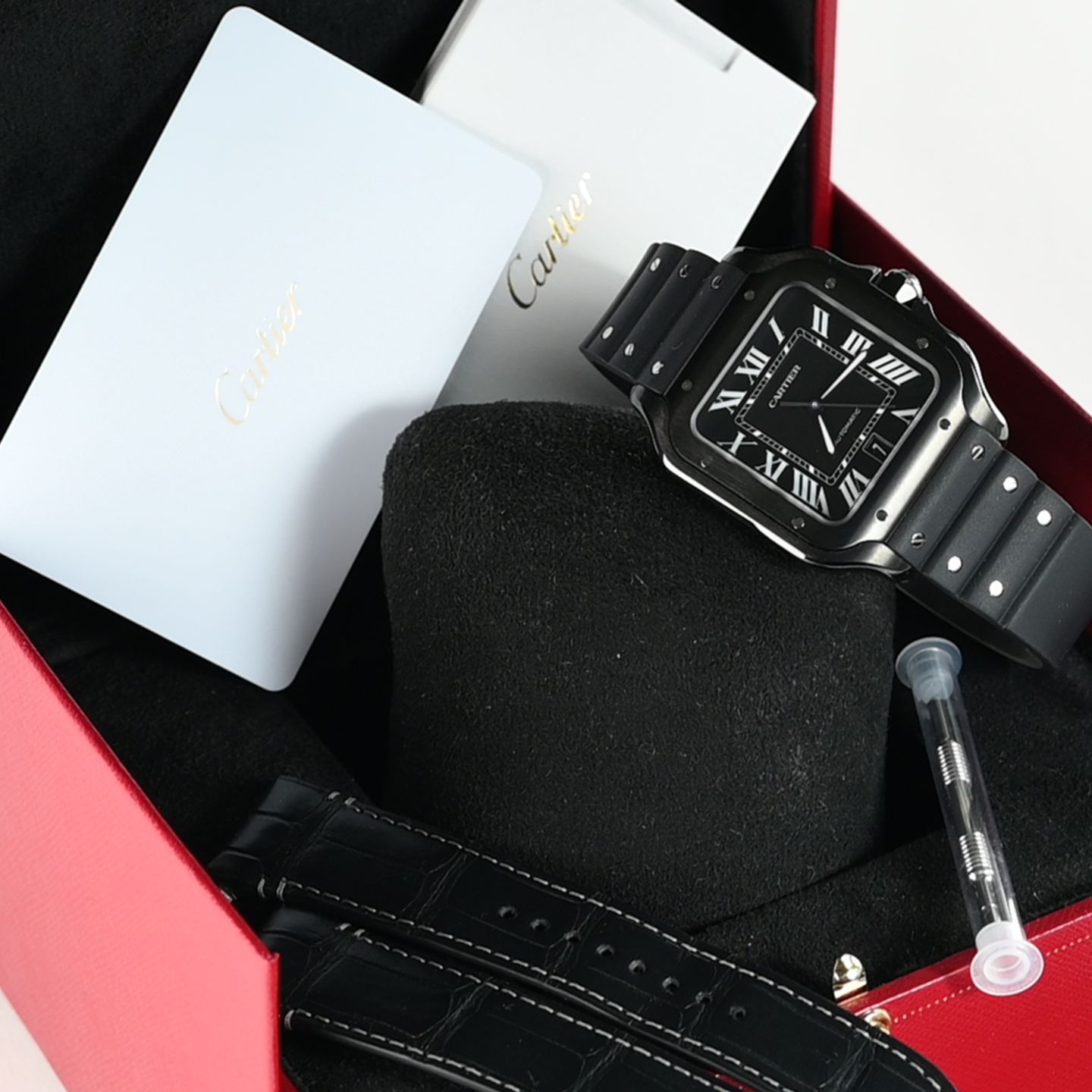 Cartier Santos WSSA0039 - (6/6)