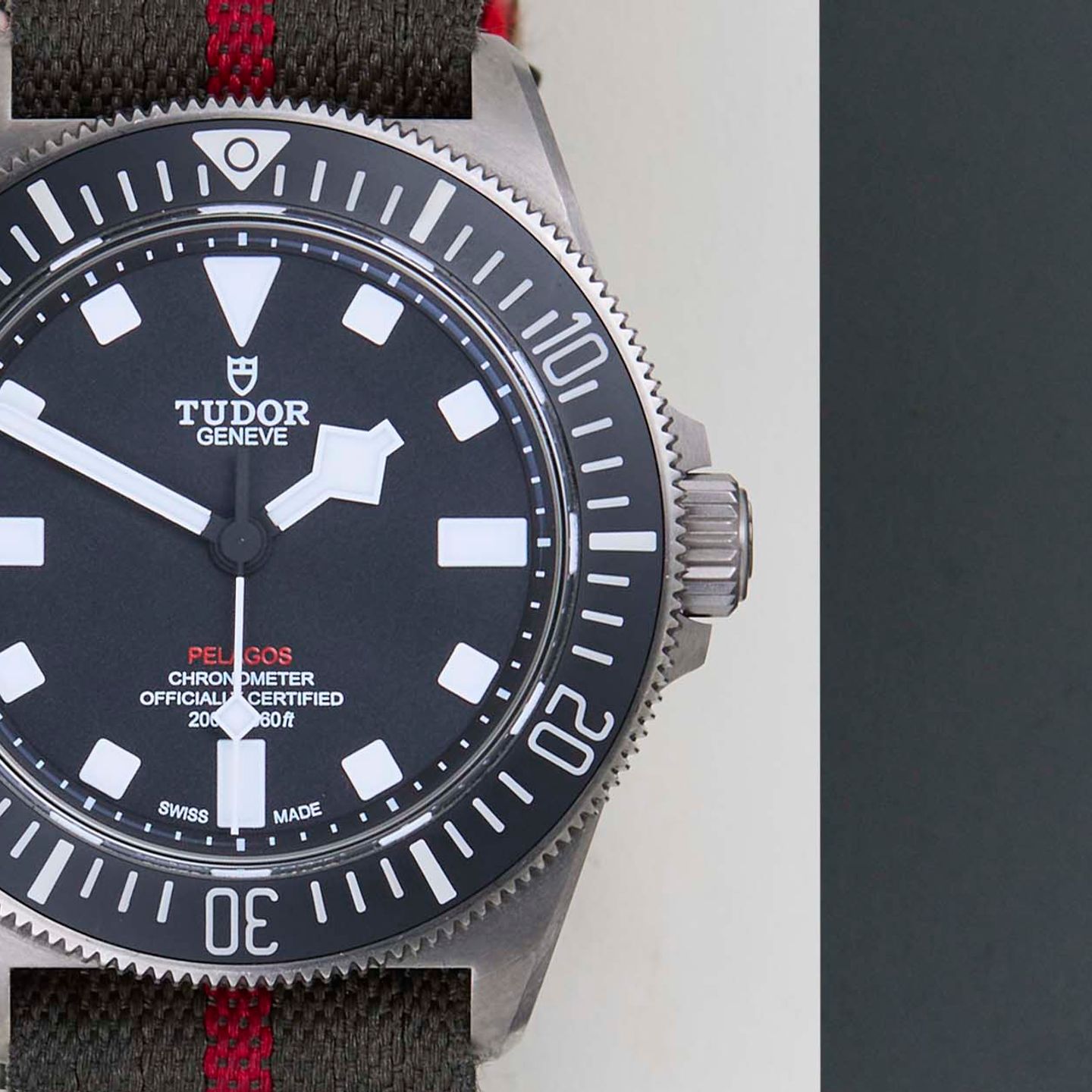 Tudor Pelagos 25717N - (5/8)