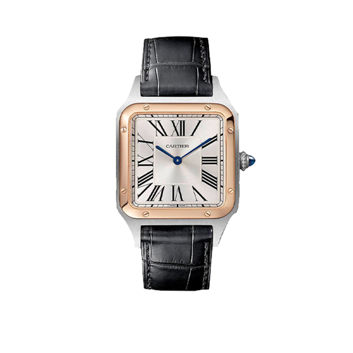 Cartier Santos Dumont W2SA0037 - (1/8)