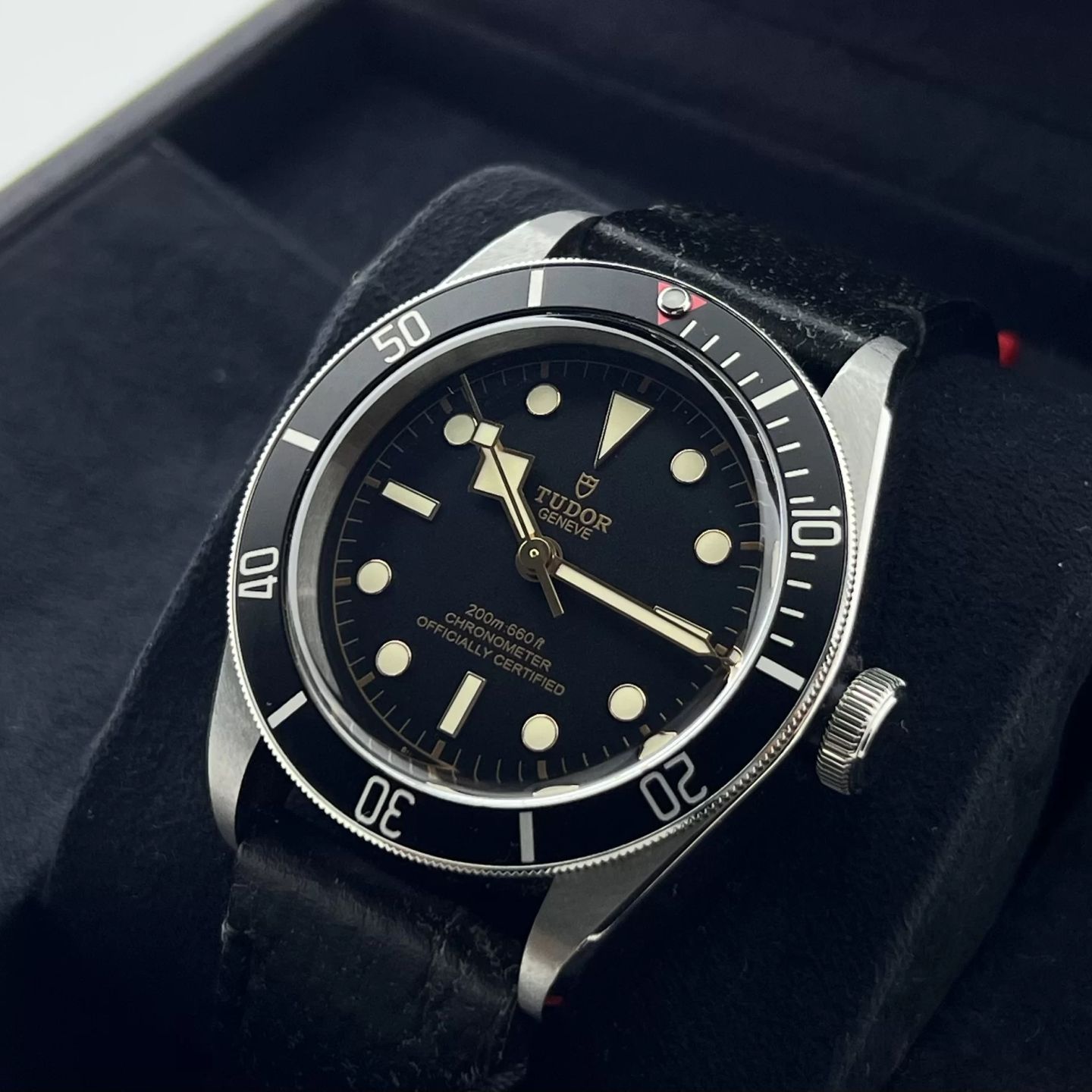 Tudor Black Bay 79230N - (5/8)