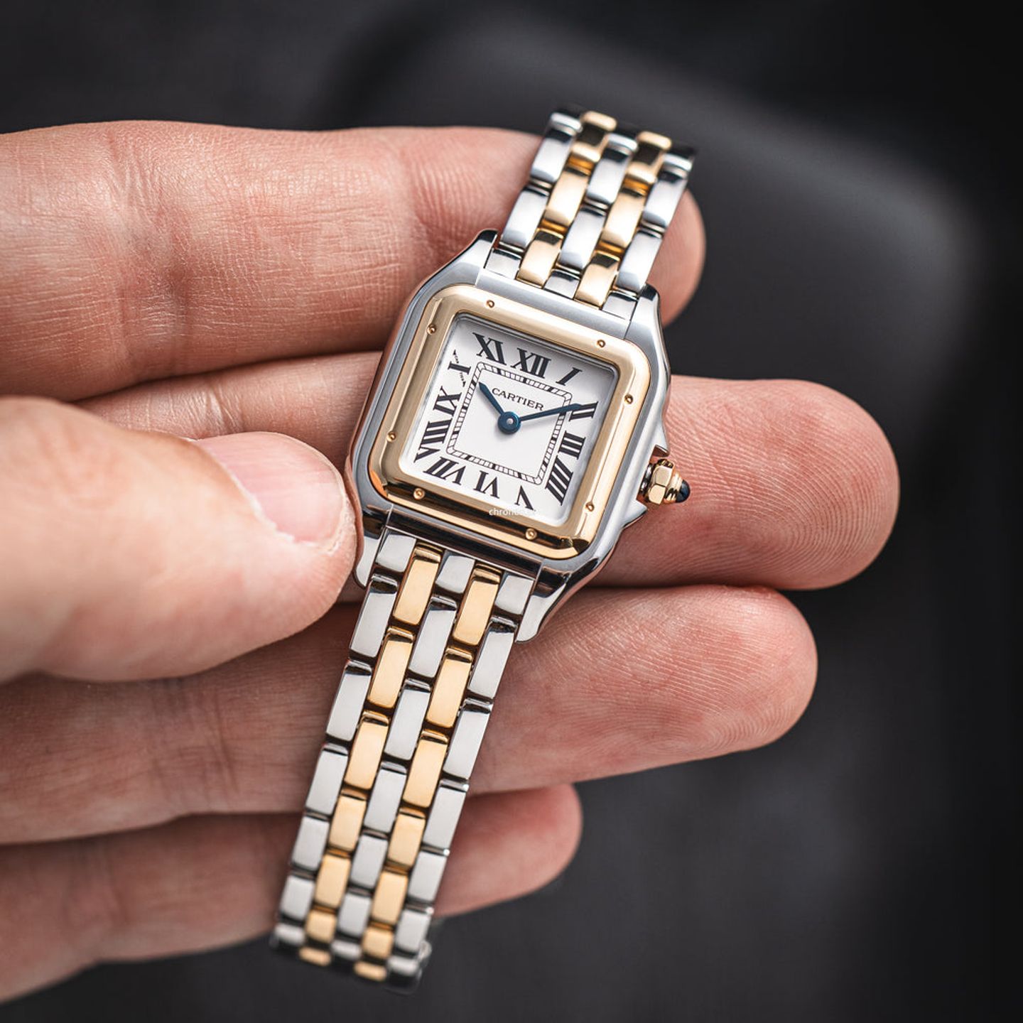 Cartier Panthère W2PN0018 - (4/6)