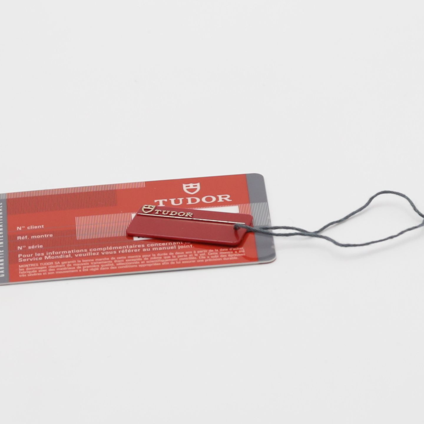 Tudor Prince Date 76213 - (5/8)