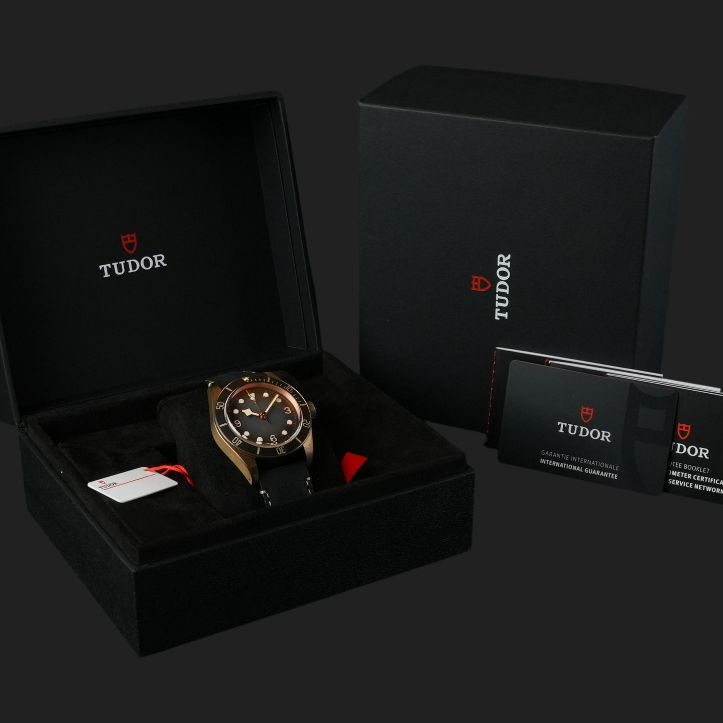 Tudor Black Bay Bronze 79250BA - (8/8)