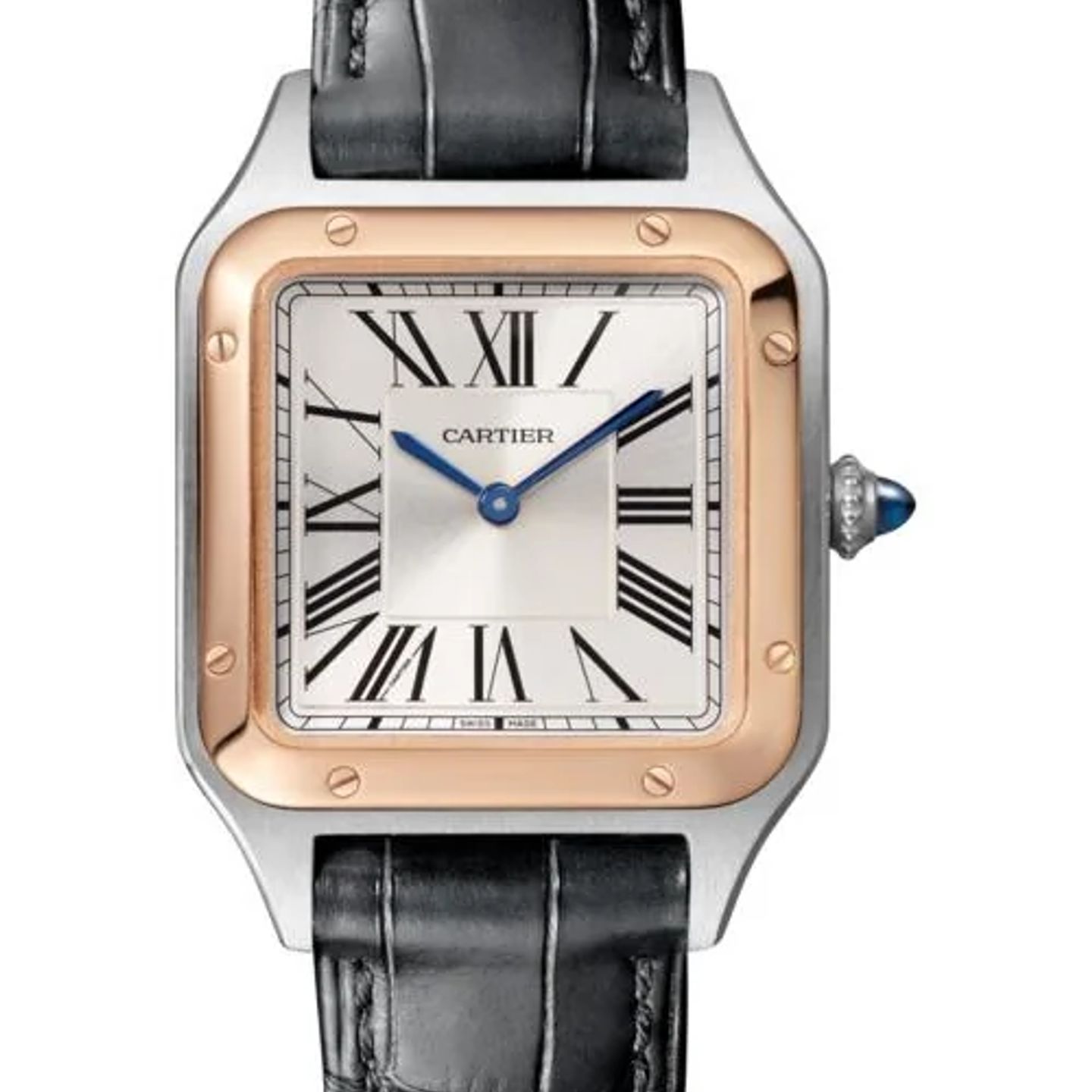 Cartier Santos Dumont W2SA0038 (2026) - Silver dial 28 mm Steel case (1/1)