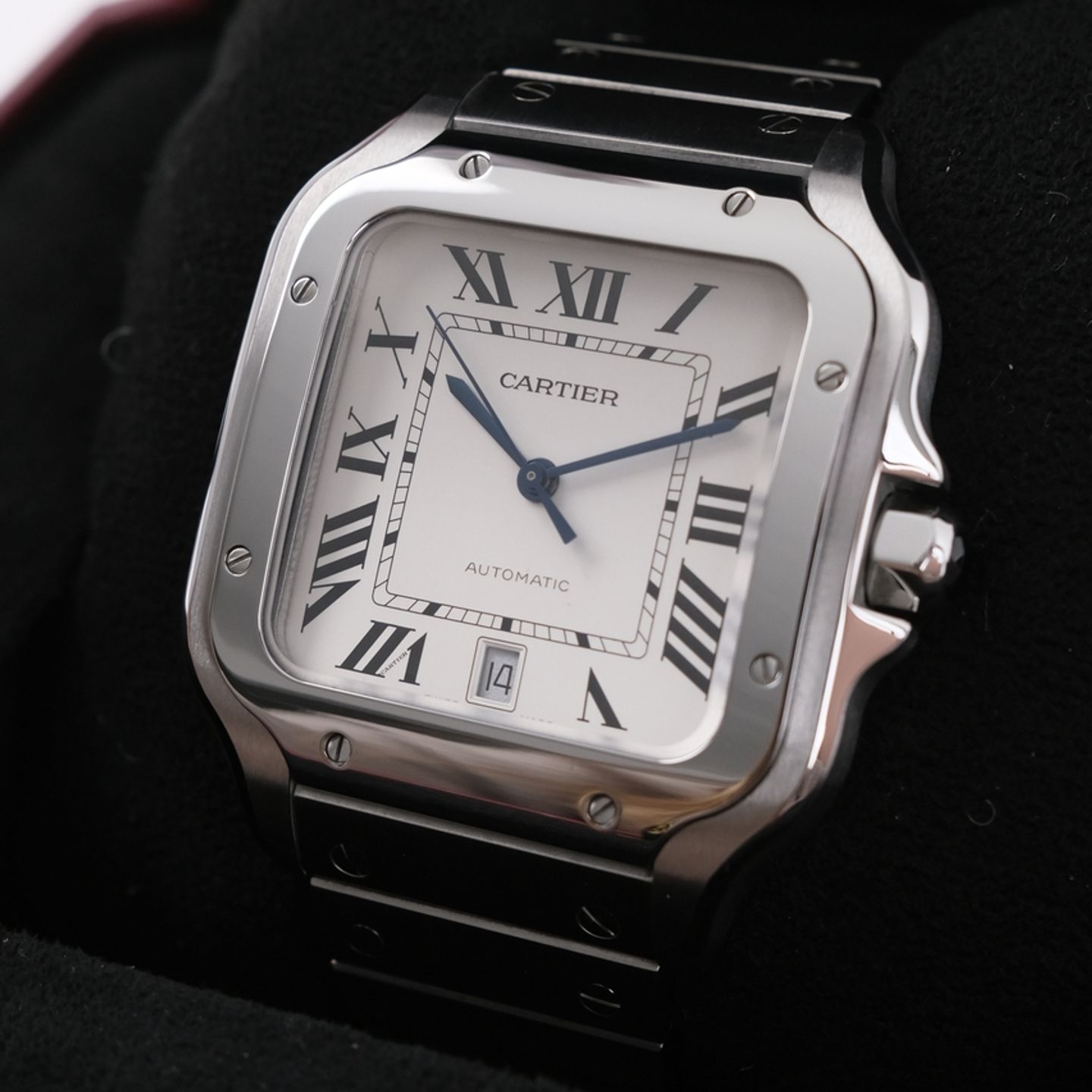 Cartier Santos WSSA0009 - (1/8)