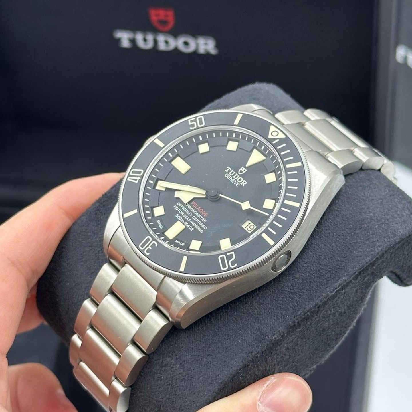 Tudor Pelagos 25610TNL - (2/10)