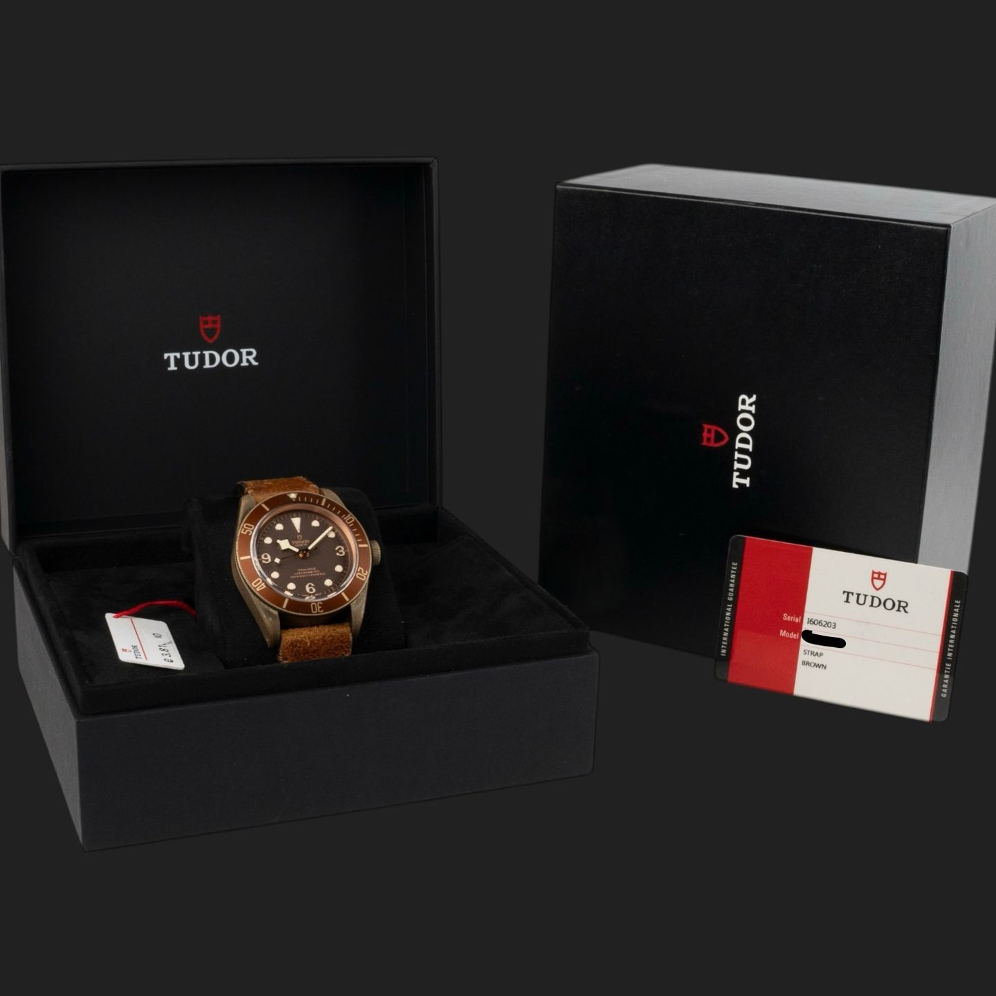 Tudor Black Bay Bronze 79250BM - (8/8)