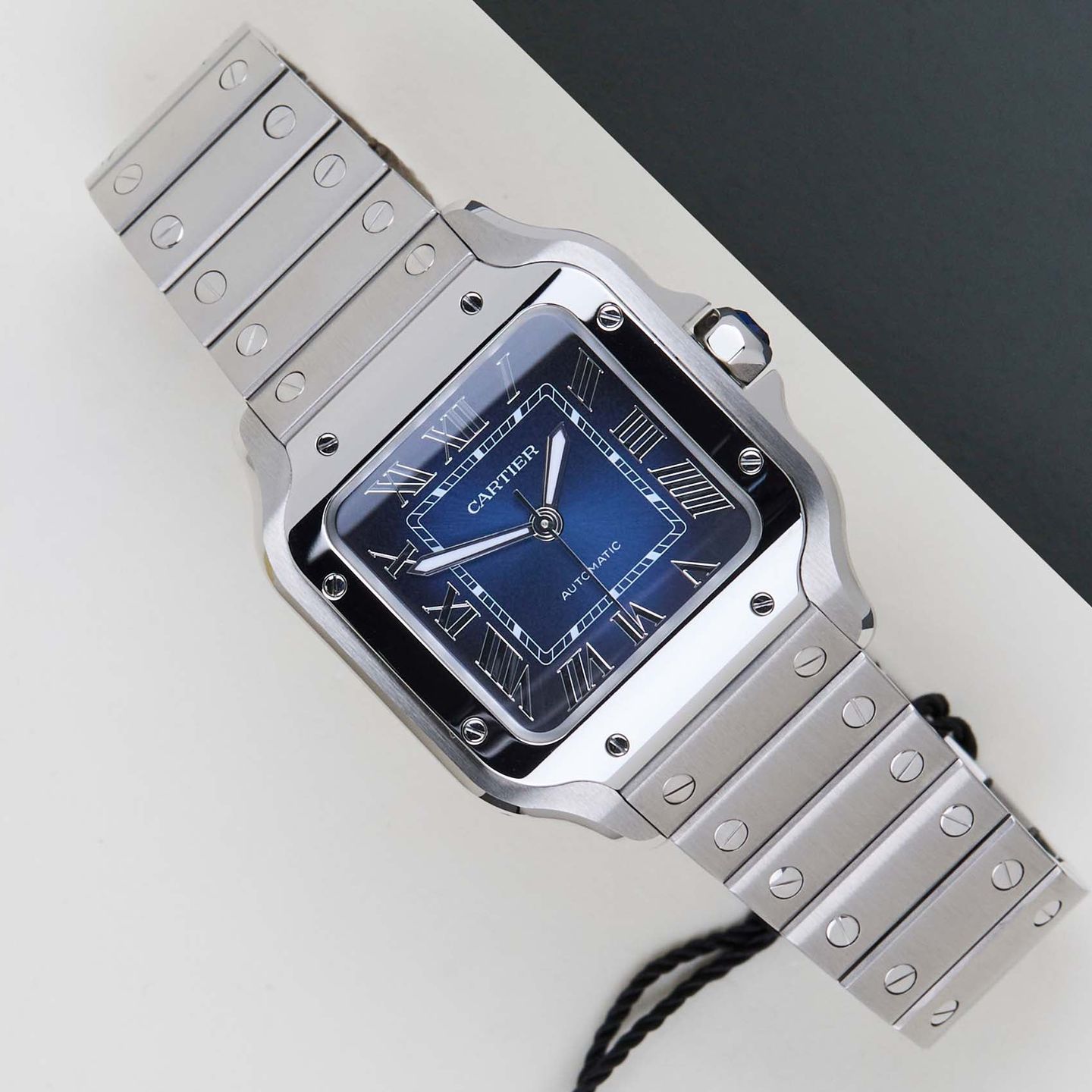 Cartier Santos WSSA0063 - (1/8)