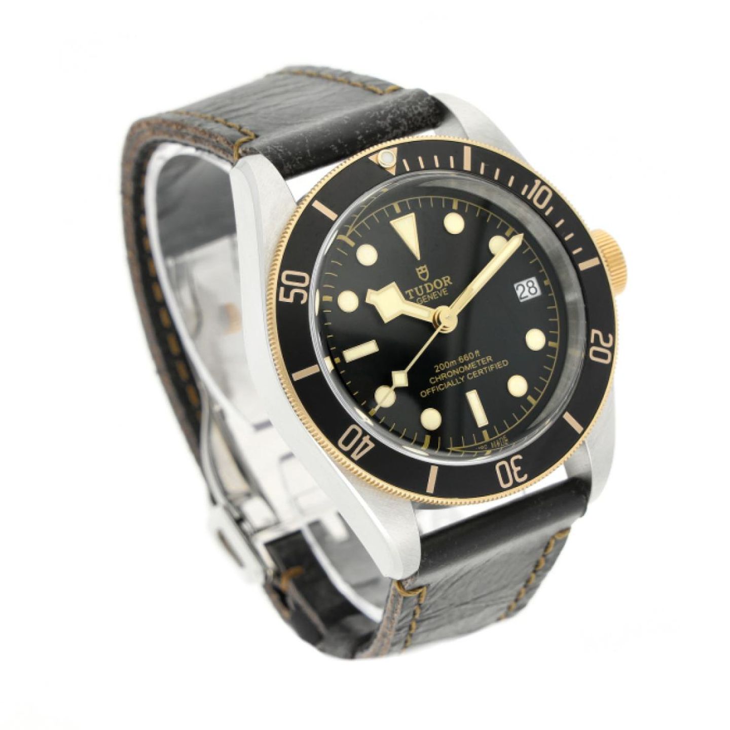 Tudor Black Bay S&G 79733N - (3/5)