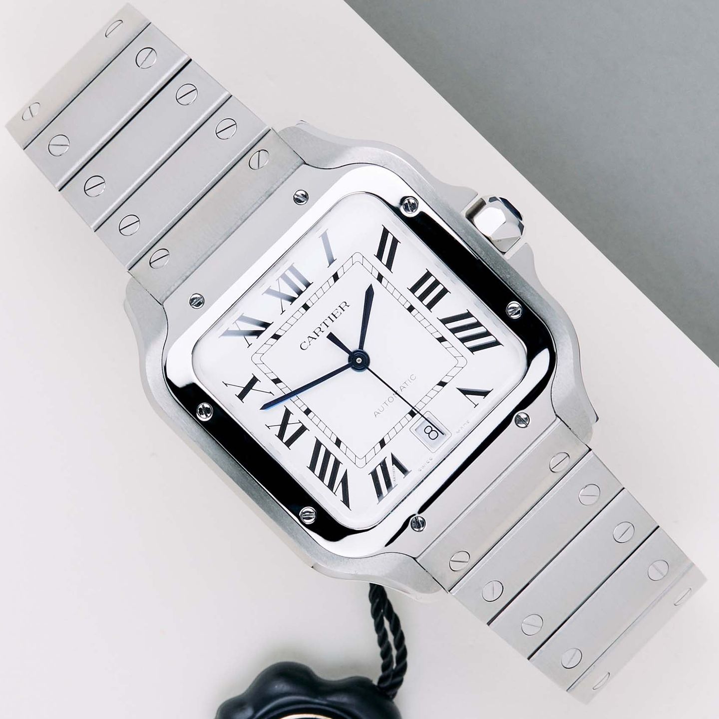 Cartier Santos WSSA0018 - (1/8)