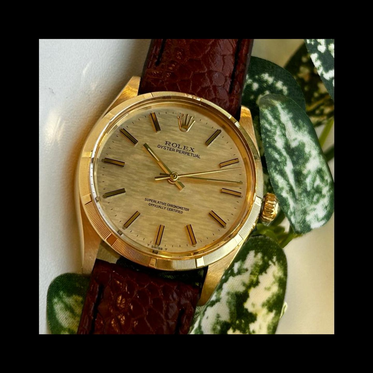 Rolex Oyster Perpetual 1003 (1970) - Champagne dial 34 mm Yellow Gold case (6/6)