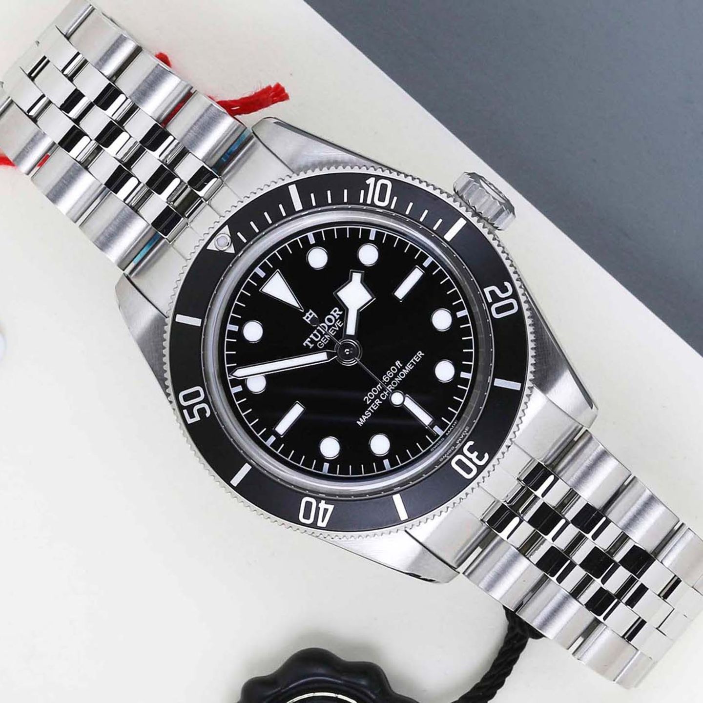 Tudor Black Bay 7941A1A0NU - (1/8)