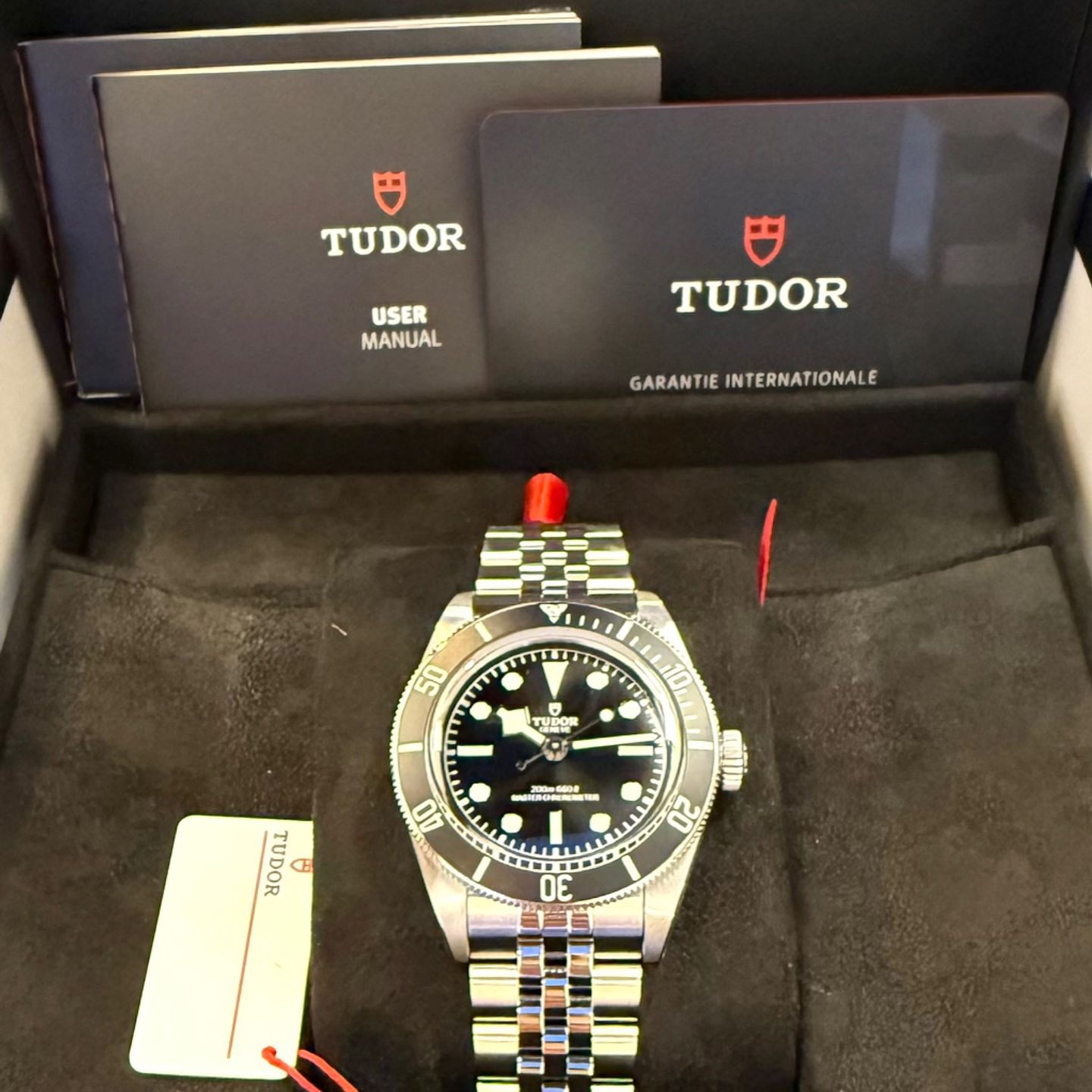 Tudor Black Bay 7941A1A0NU - (1/5)