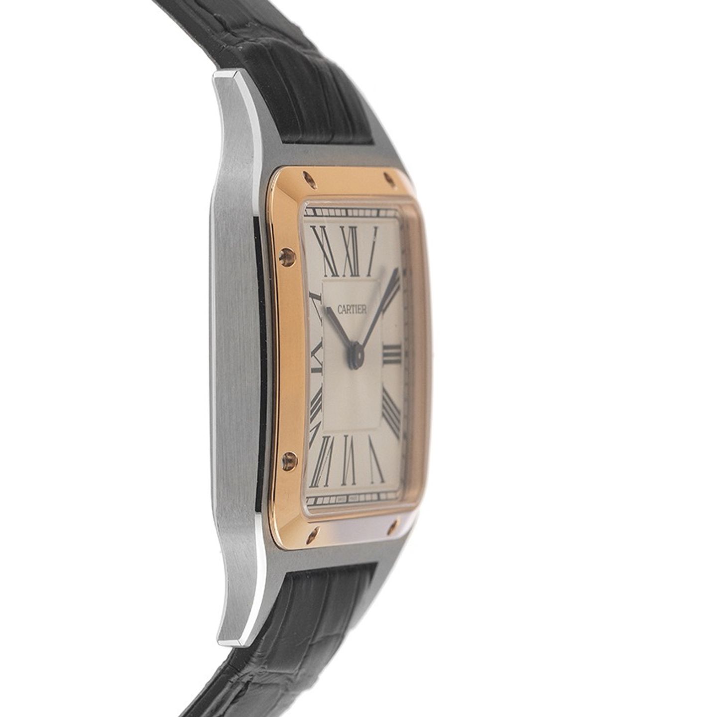 Cartier Santos Dumont W2SA0038 - (5/8)