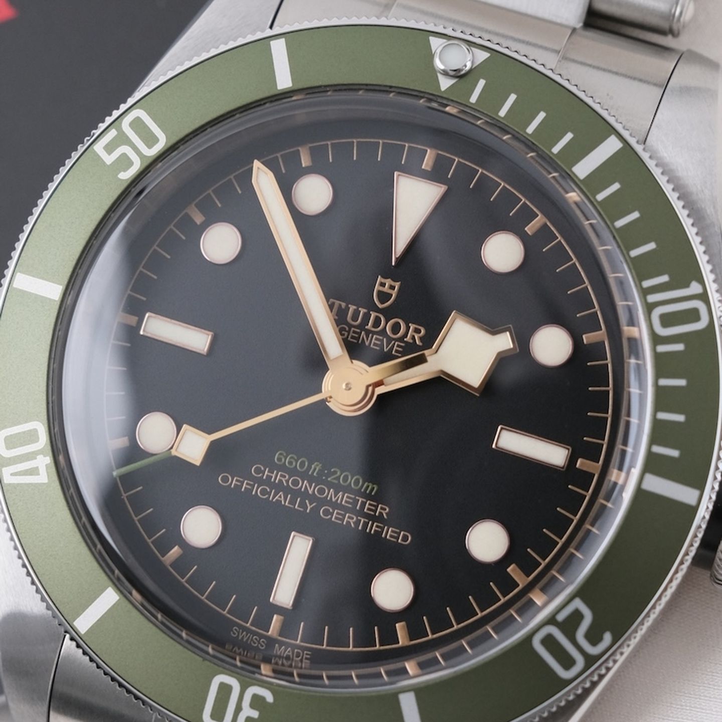 Tudor Black Bay 79230G - (6/8)