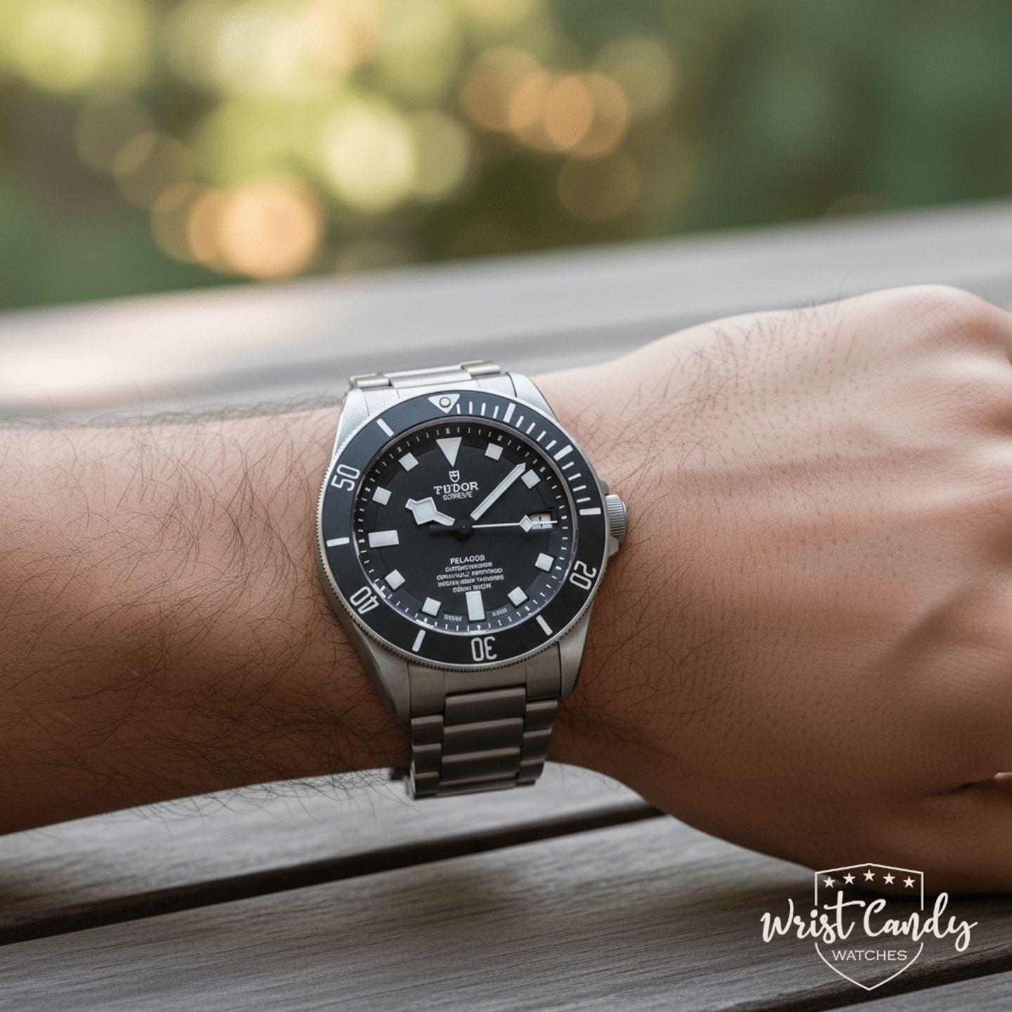 Tudor Pelagos 25600TN - (6/7)