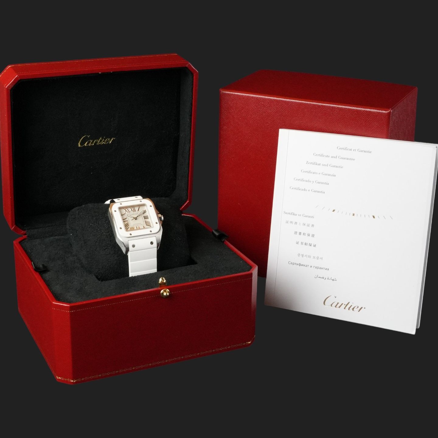 Cartier Santos 100 W20129U2 - (8/8)