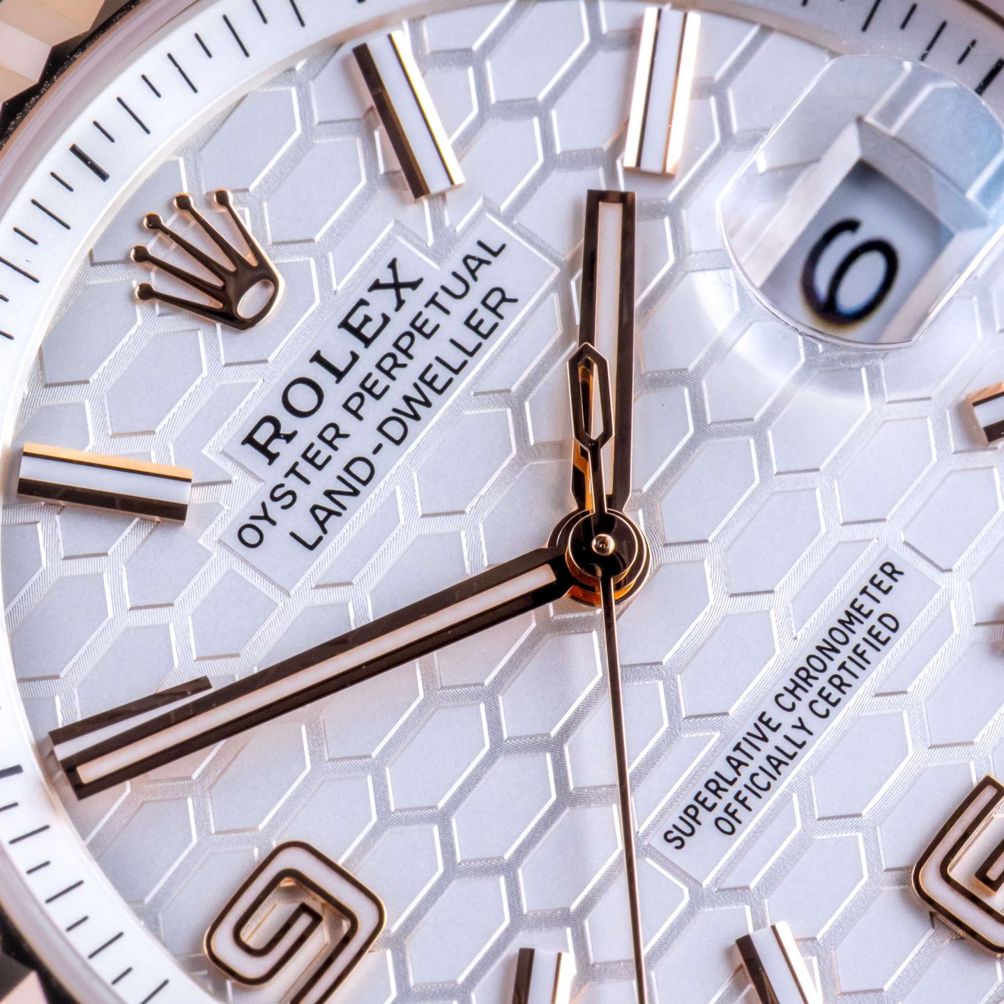 Rolex Land-Dweller 36 127235 (2026) - Wit wijzerplaat 36mm Roségoud (2/8)