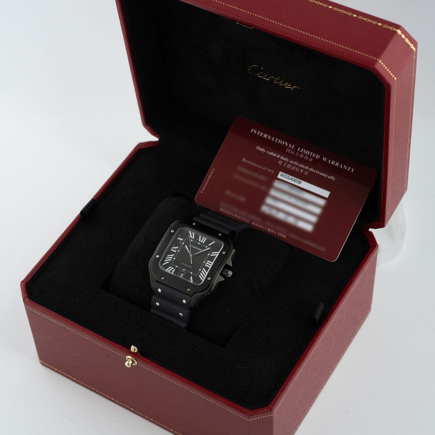 Cartier Santos WSSA0039 - (7/7)