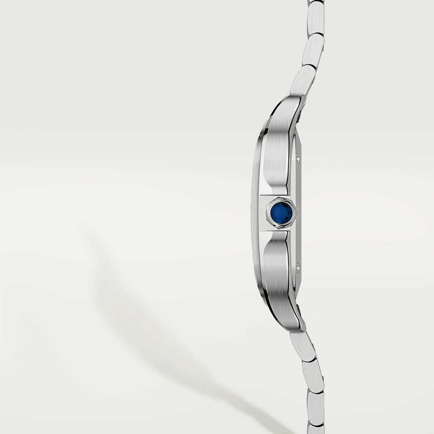 Cartier Santos WSSA0029 - (5/6)