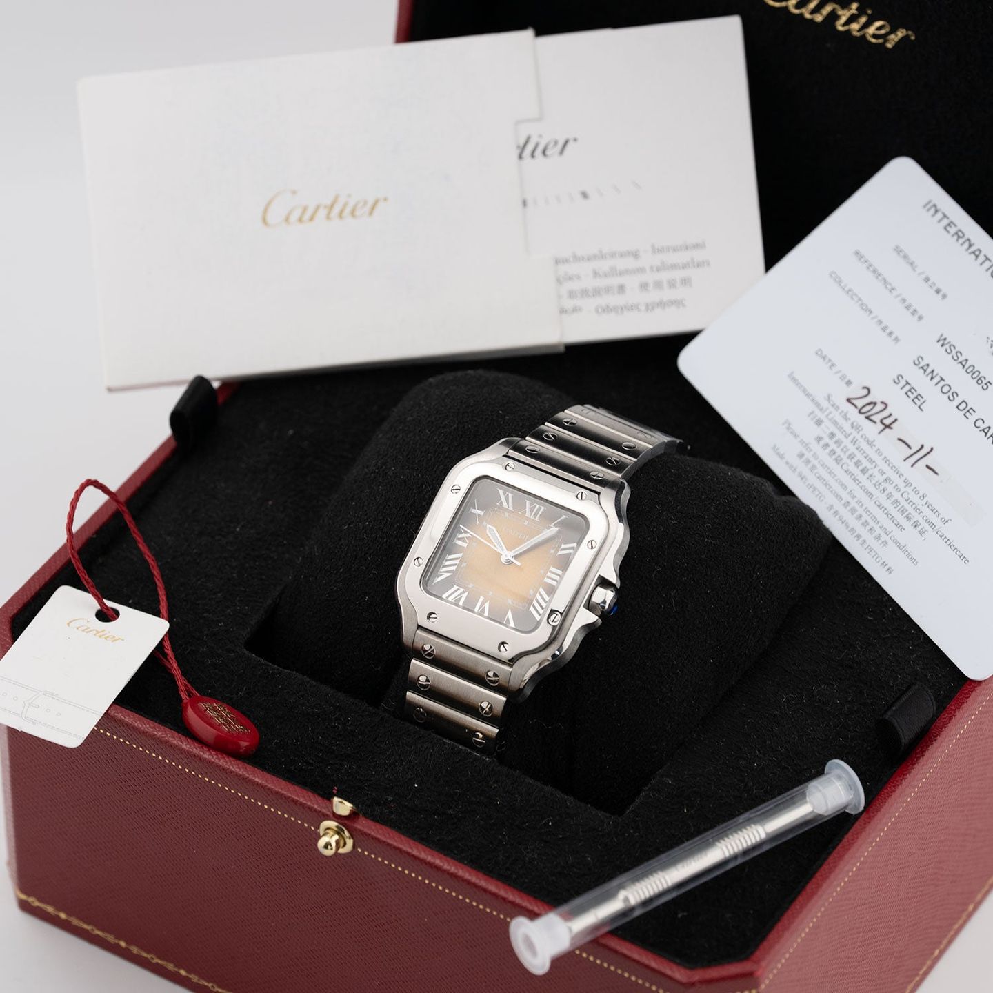 Cartier Santos WSSA0065 - (5/5)