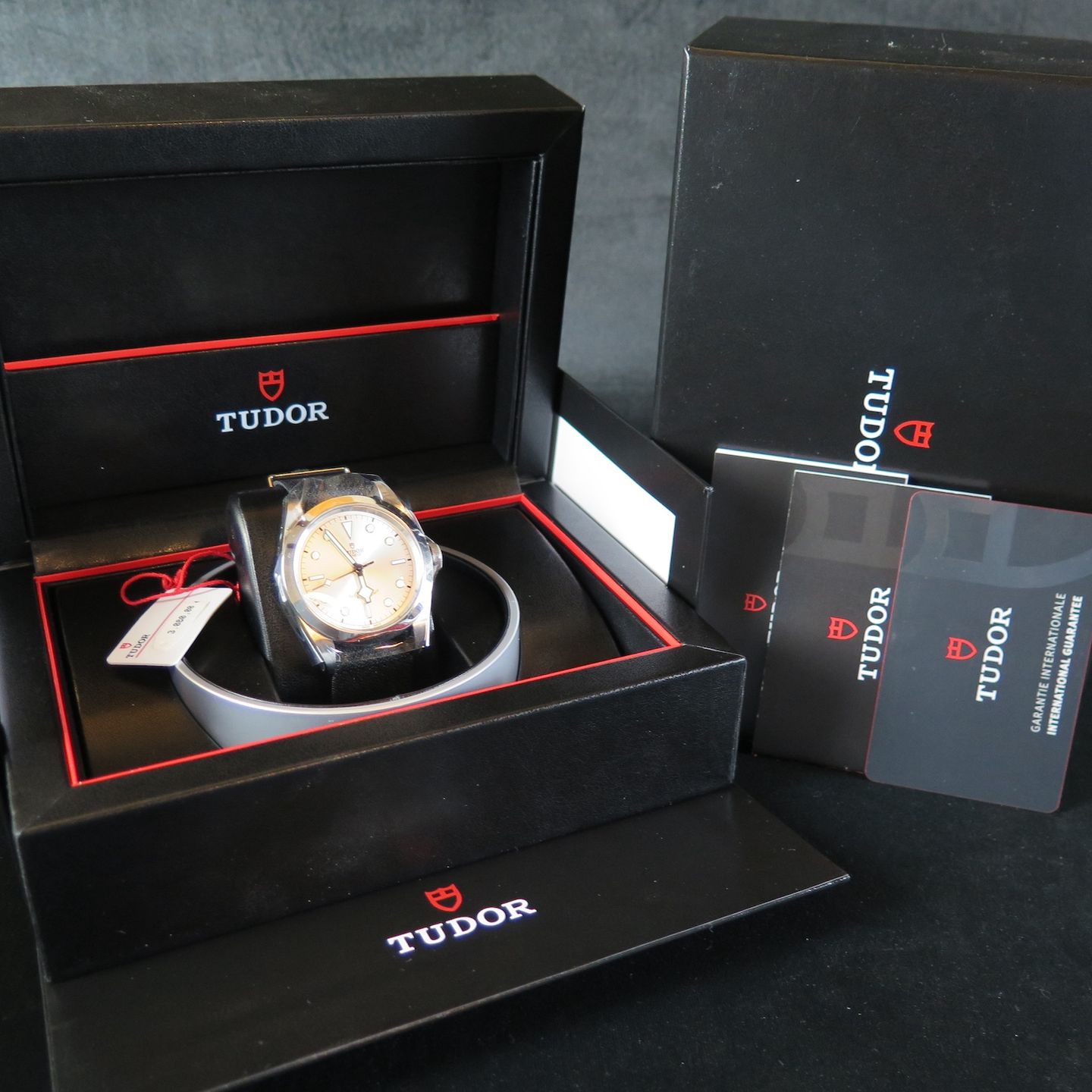 Tudor Black Bay 41 79540 (2024) - Silver dial 41 mm Steel case (8/8)