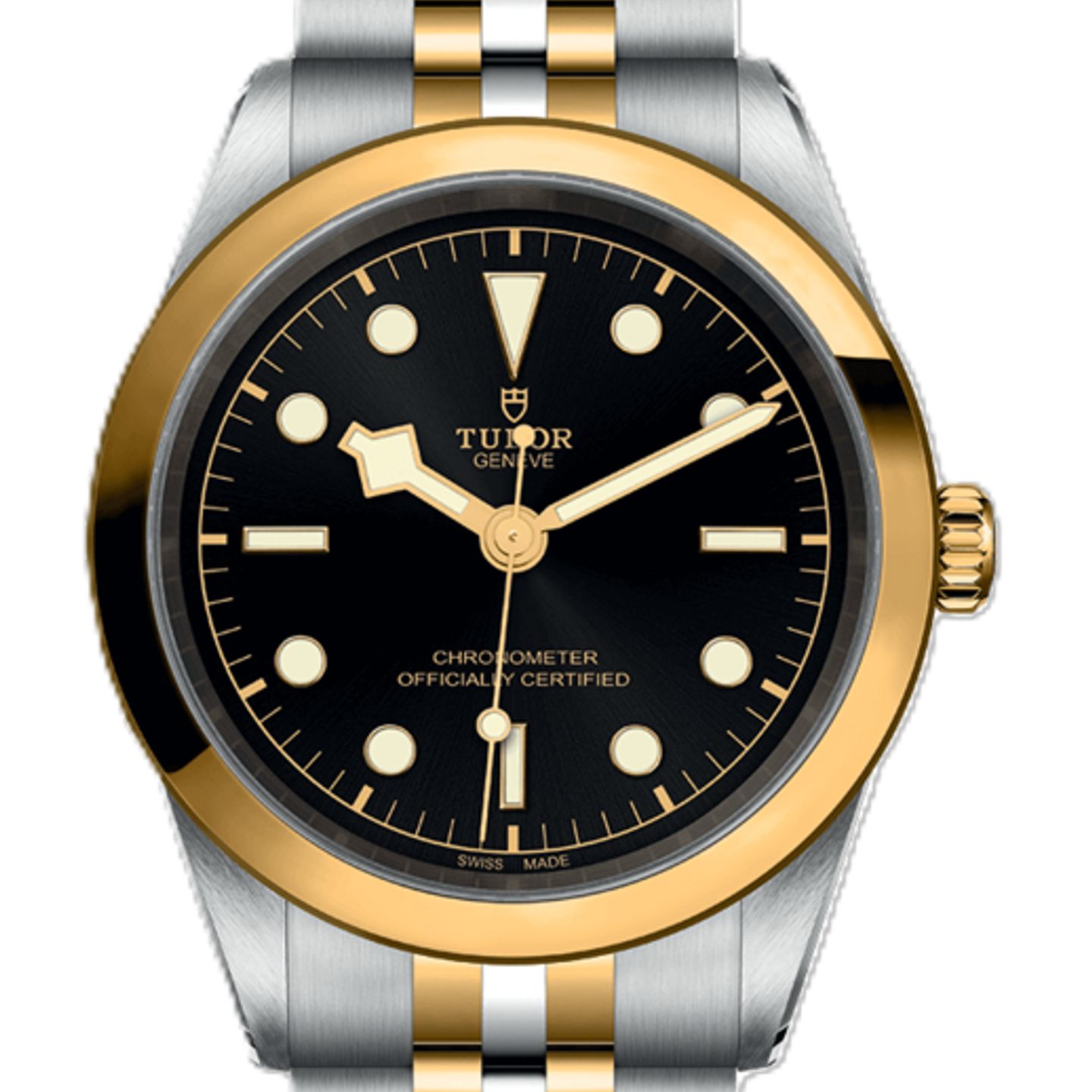 Tudor Black Bay S&G 79683 - (1/1)