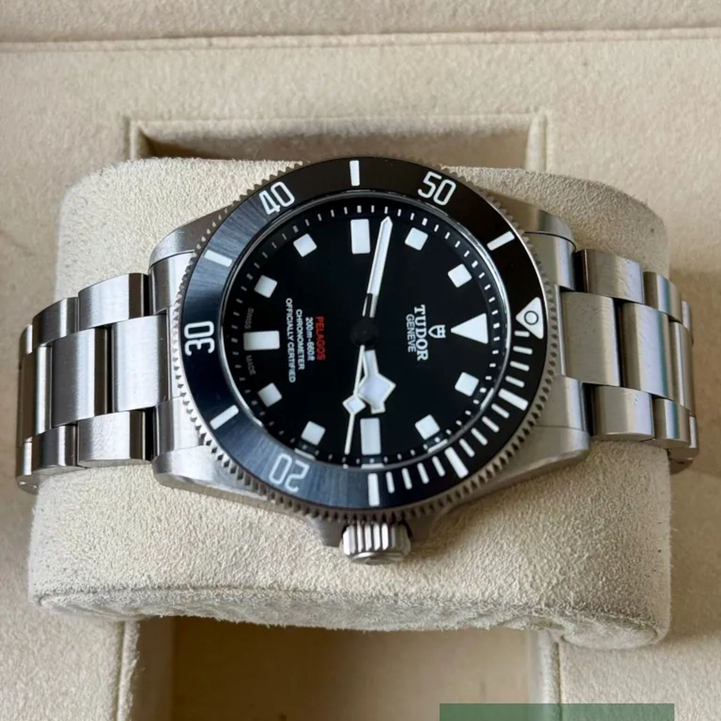 Tudor Pelagos 25407N (2026) - 39mm Titanium (4/7)