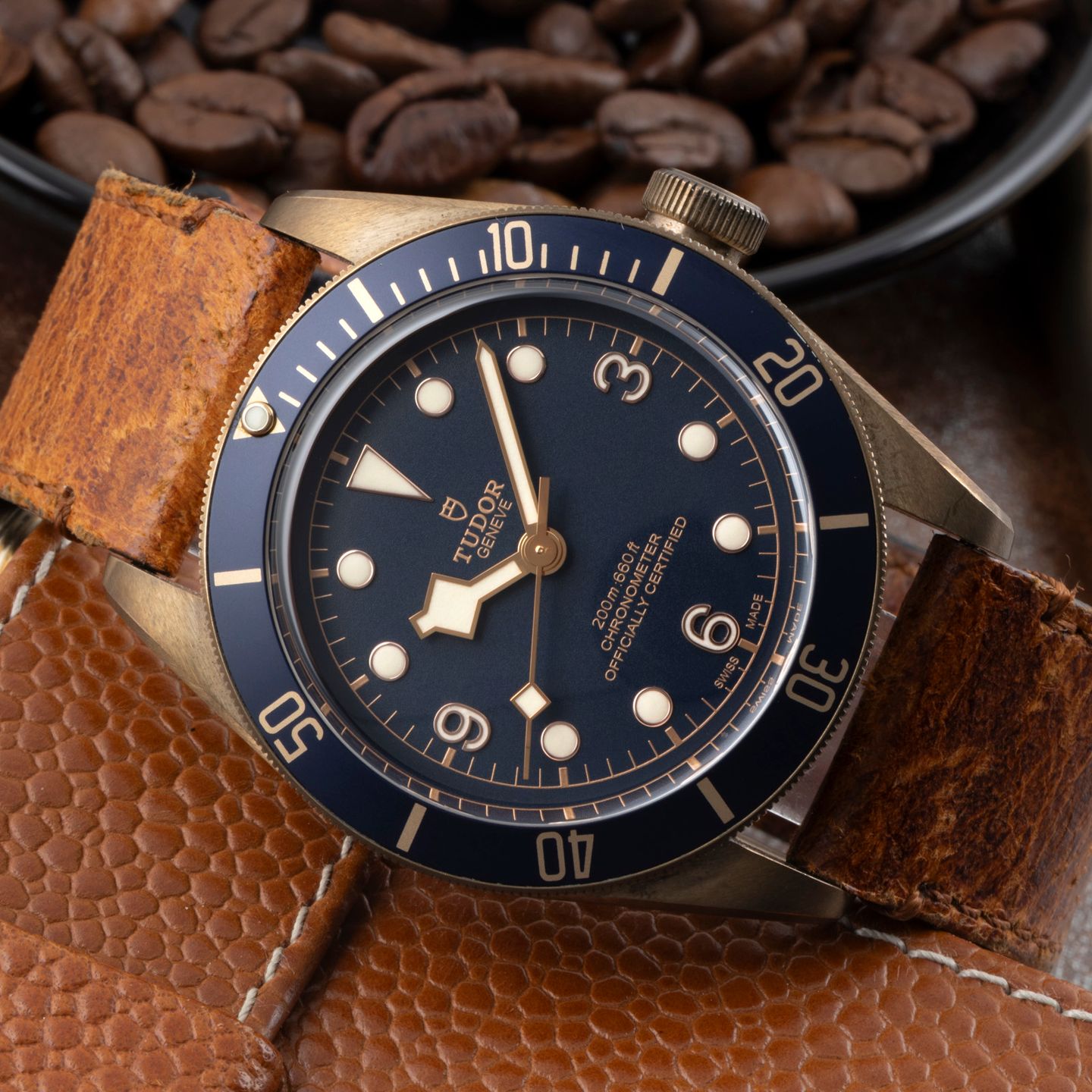 Tudor Black Bay Bronze 79250BB - (2/8)