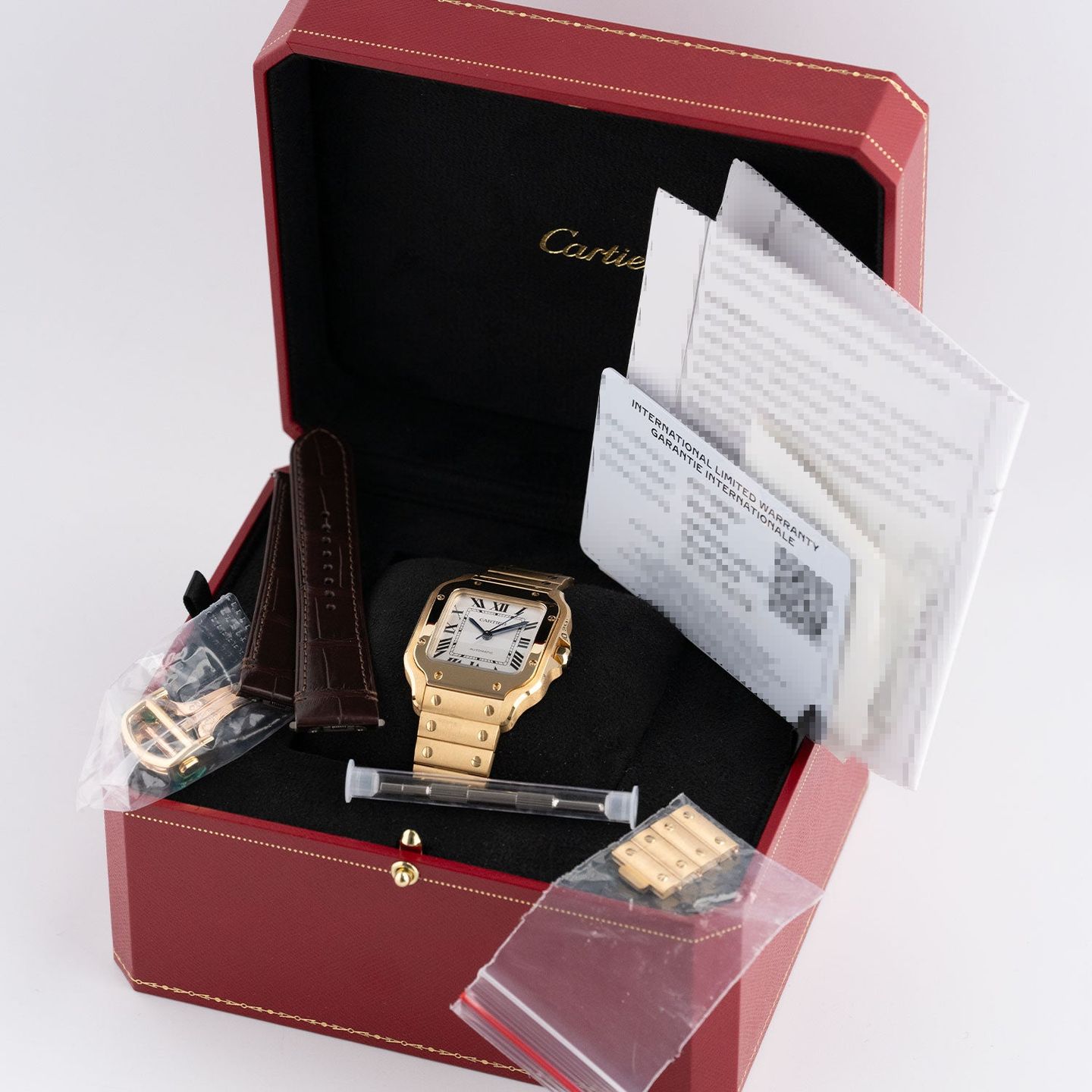 Cartier Santos WSSA0030 - (4/4)