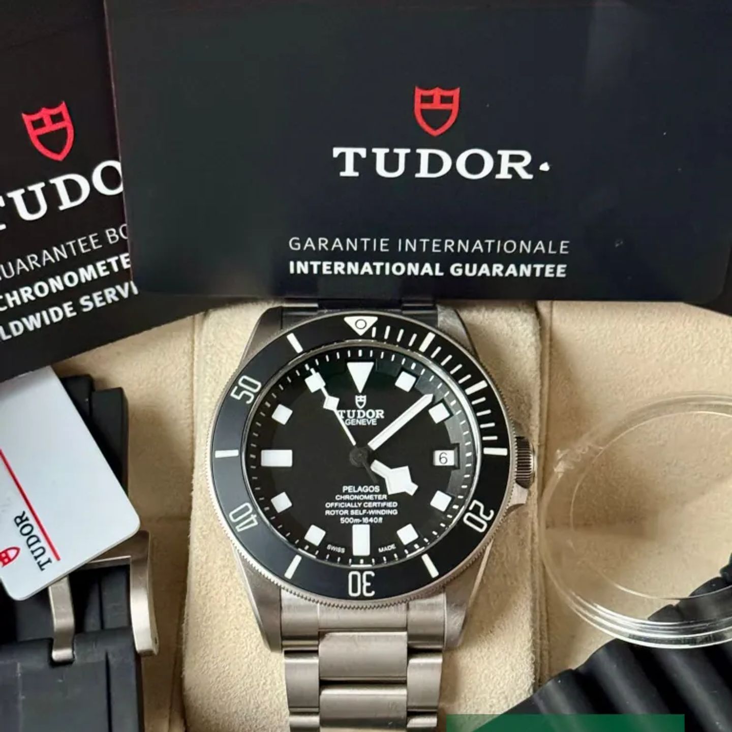 Tudor Pelagos 25600TN - (7/7)