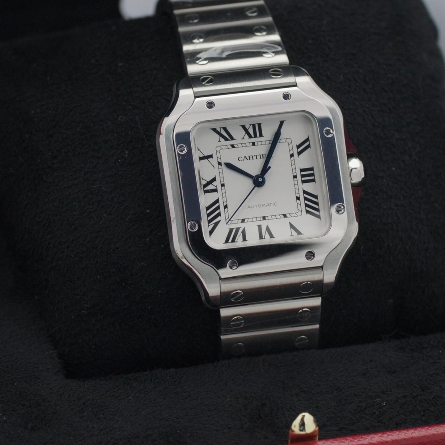 Cartier Santos WSSA0029 - (1/8)