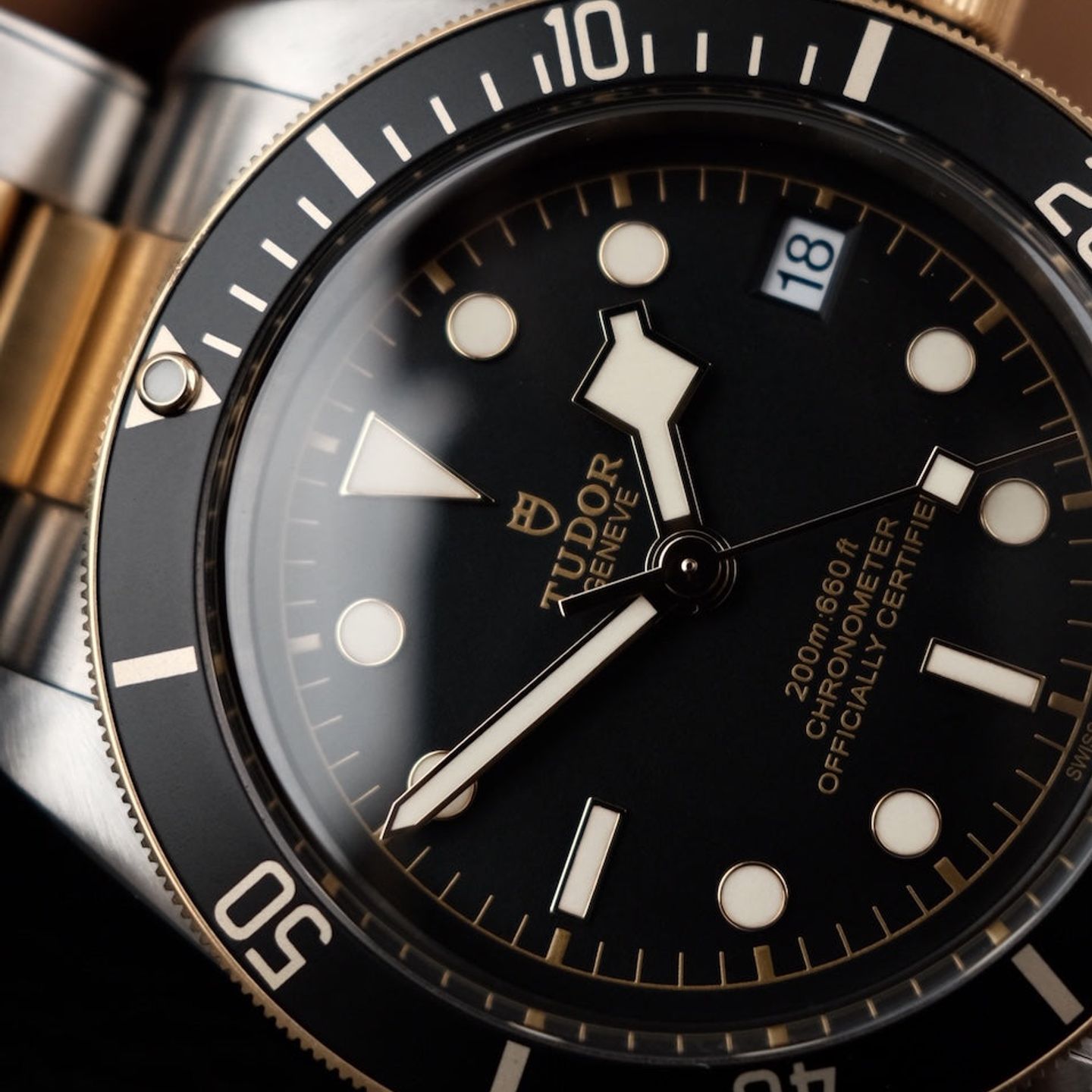 Tudor Black Bay S&G 79733N - (2/8)