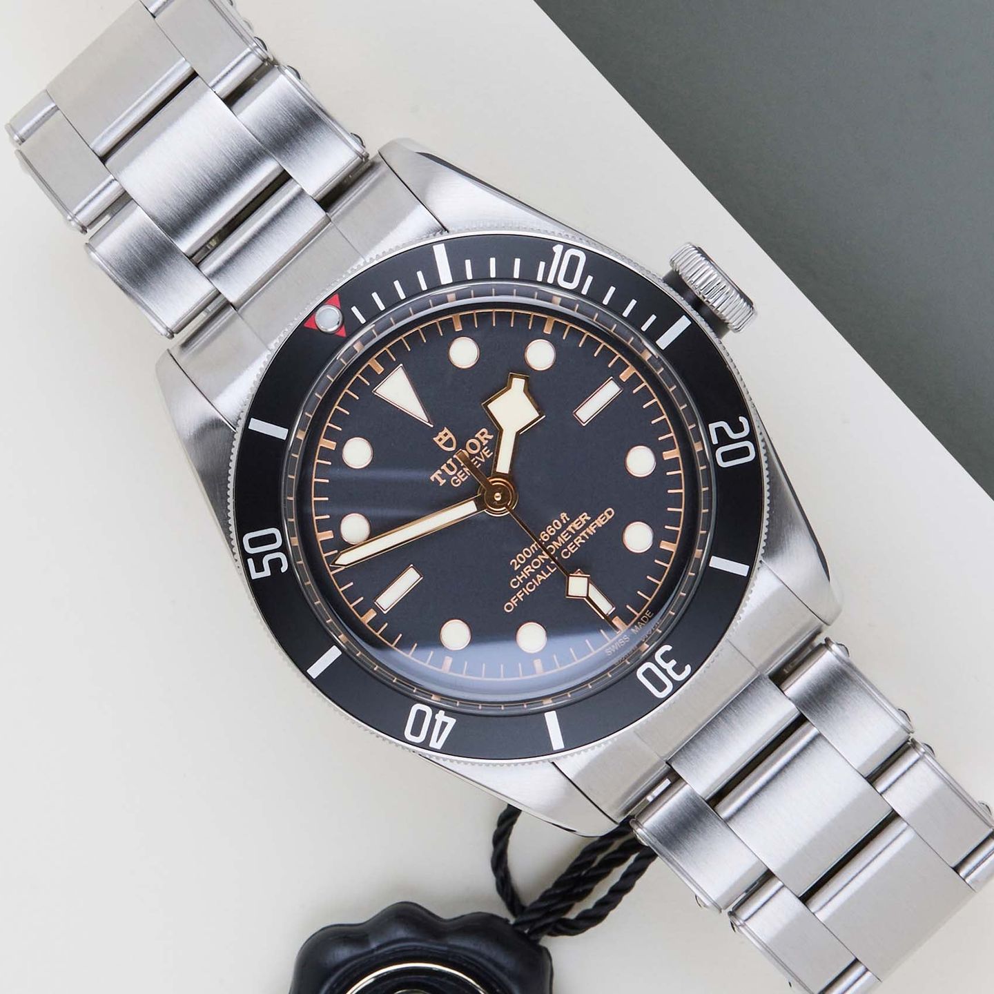 Tudor Black Bay 79230N - (1/8)