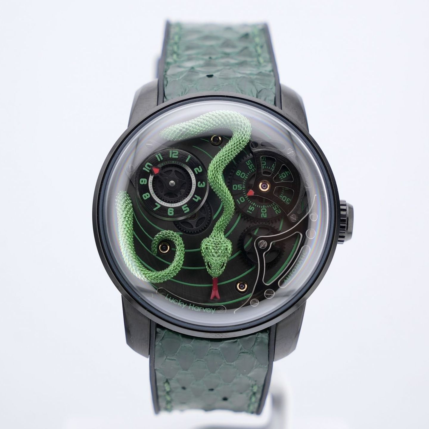 Lucky harvey Unknown Green Snake (2025) - Black dial 43 mm Steel case (1/8)