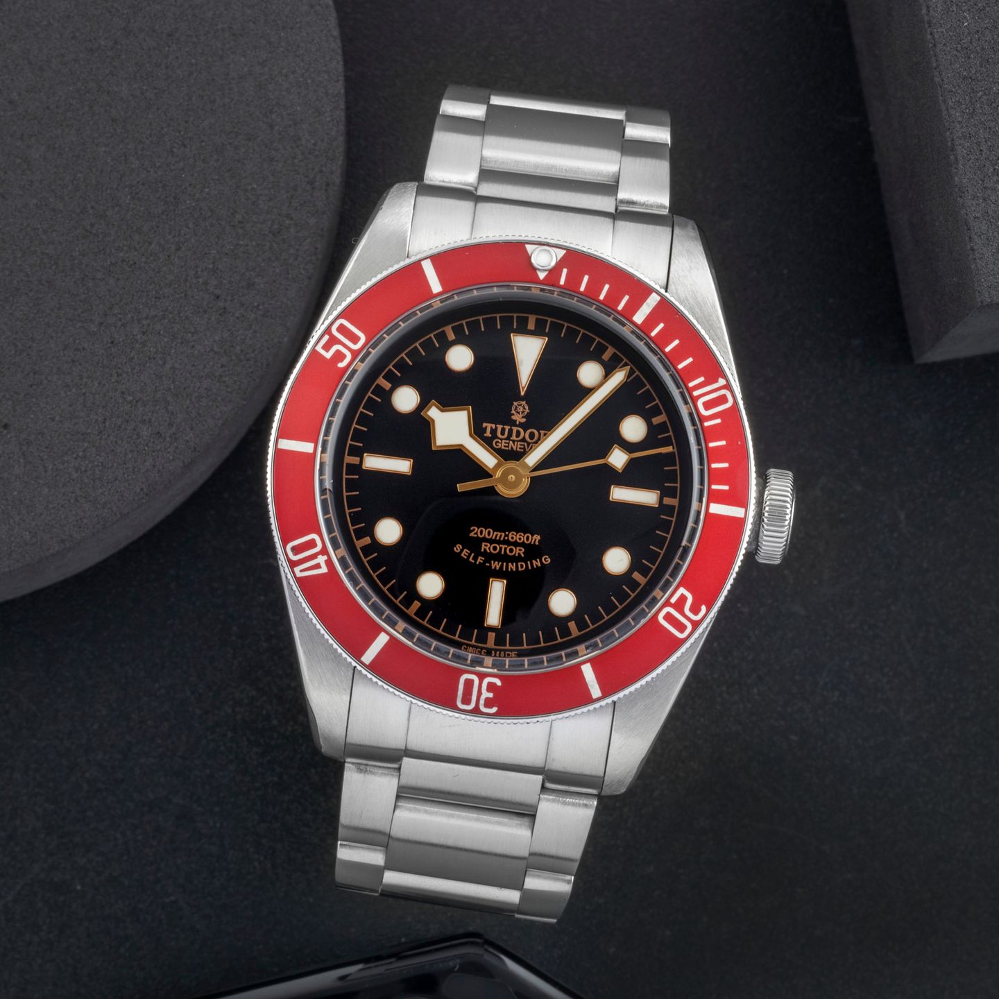 Tudor Black Bay 79220R - (1/8)