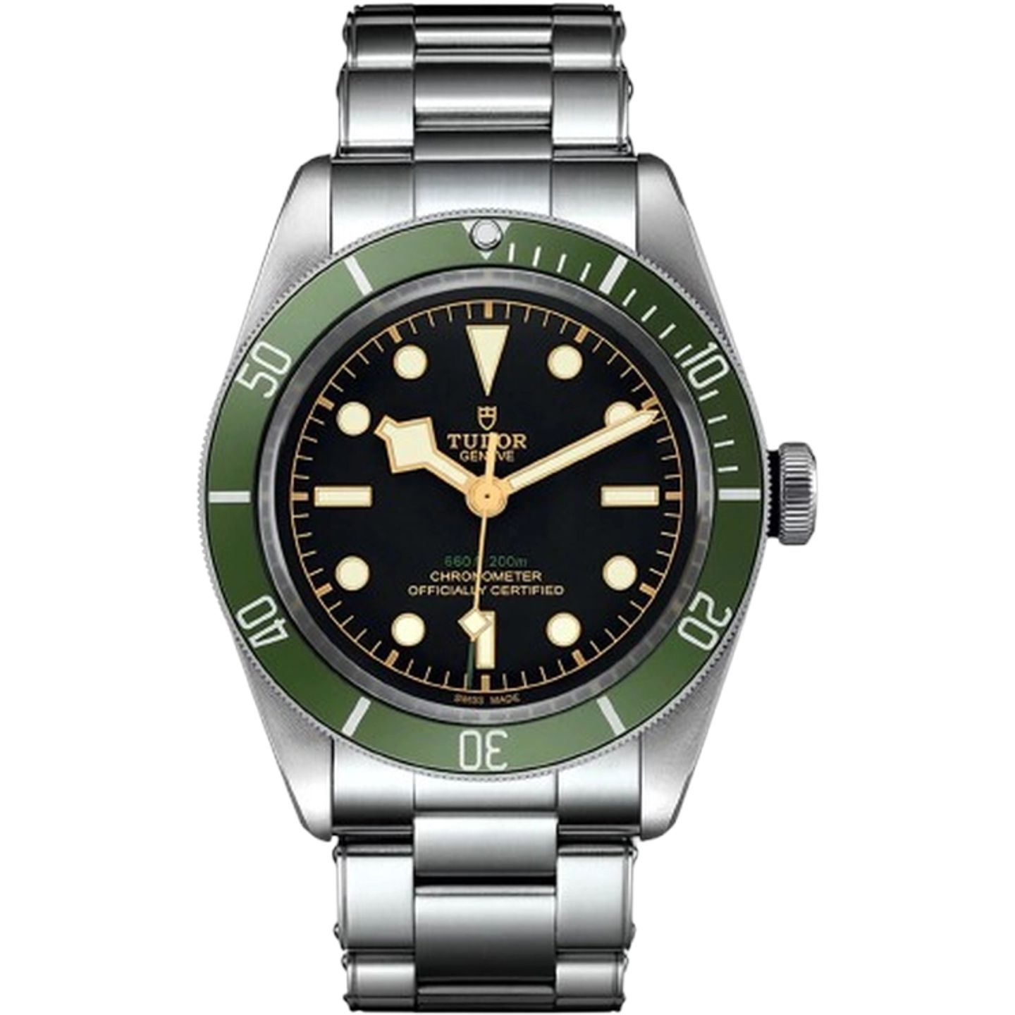 Tudor Black Bay 41 M79230G-0001 (2025) - Black dial 41 mm Steel case (1/1)