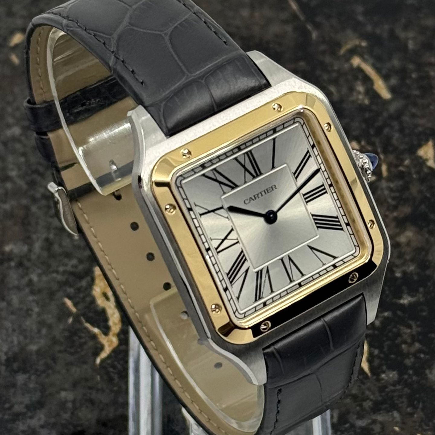 Cartier Santos Dumont W2SA0034 - (7/8)