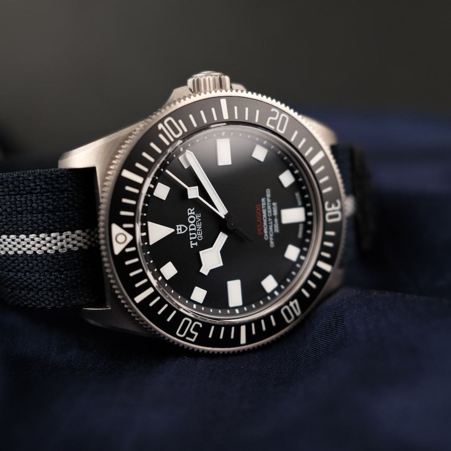 Tudor Pelagos 25717N - (5/8)