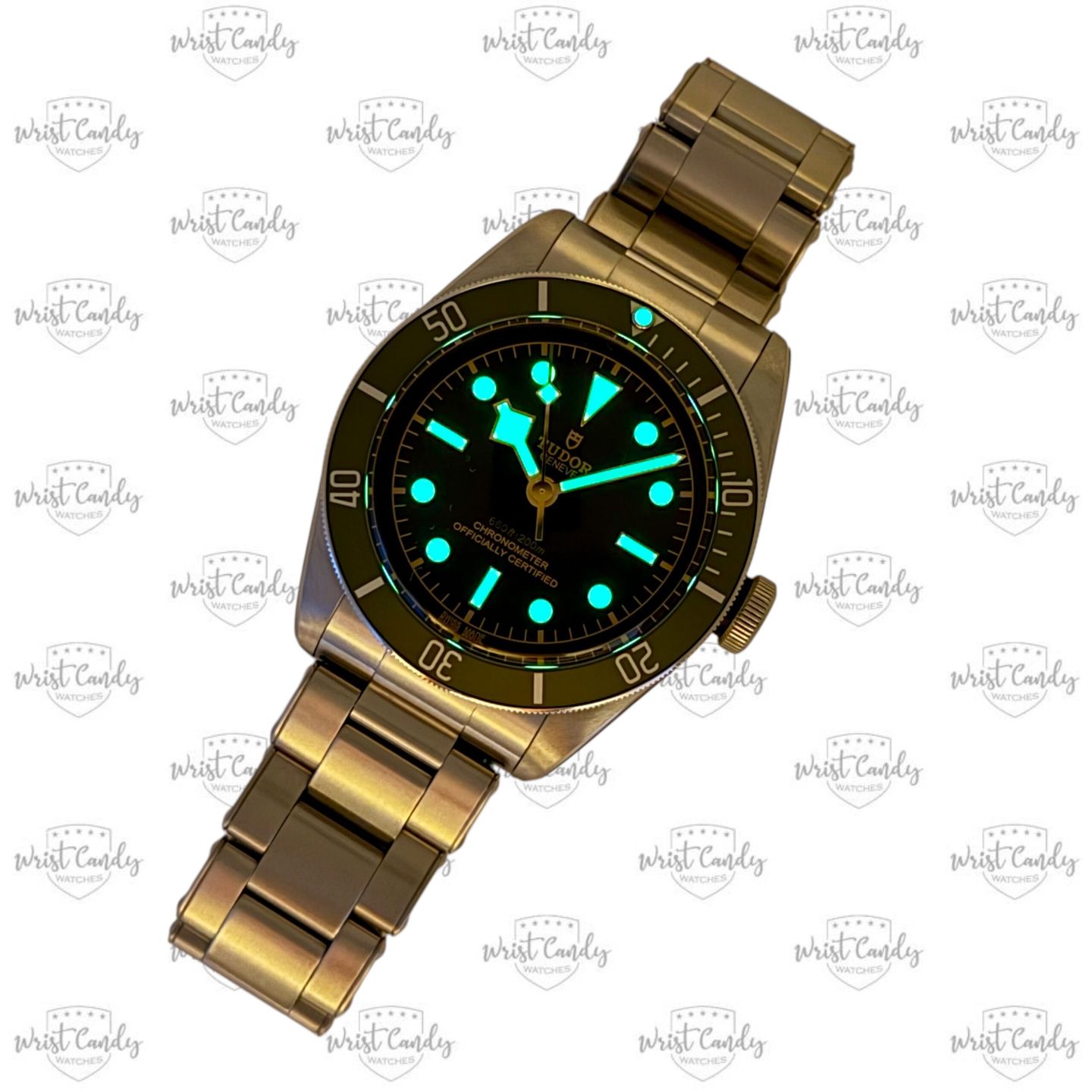 Tudor Black Bay 79230G - (6/8)