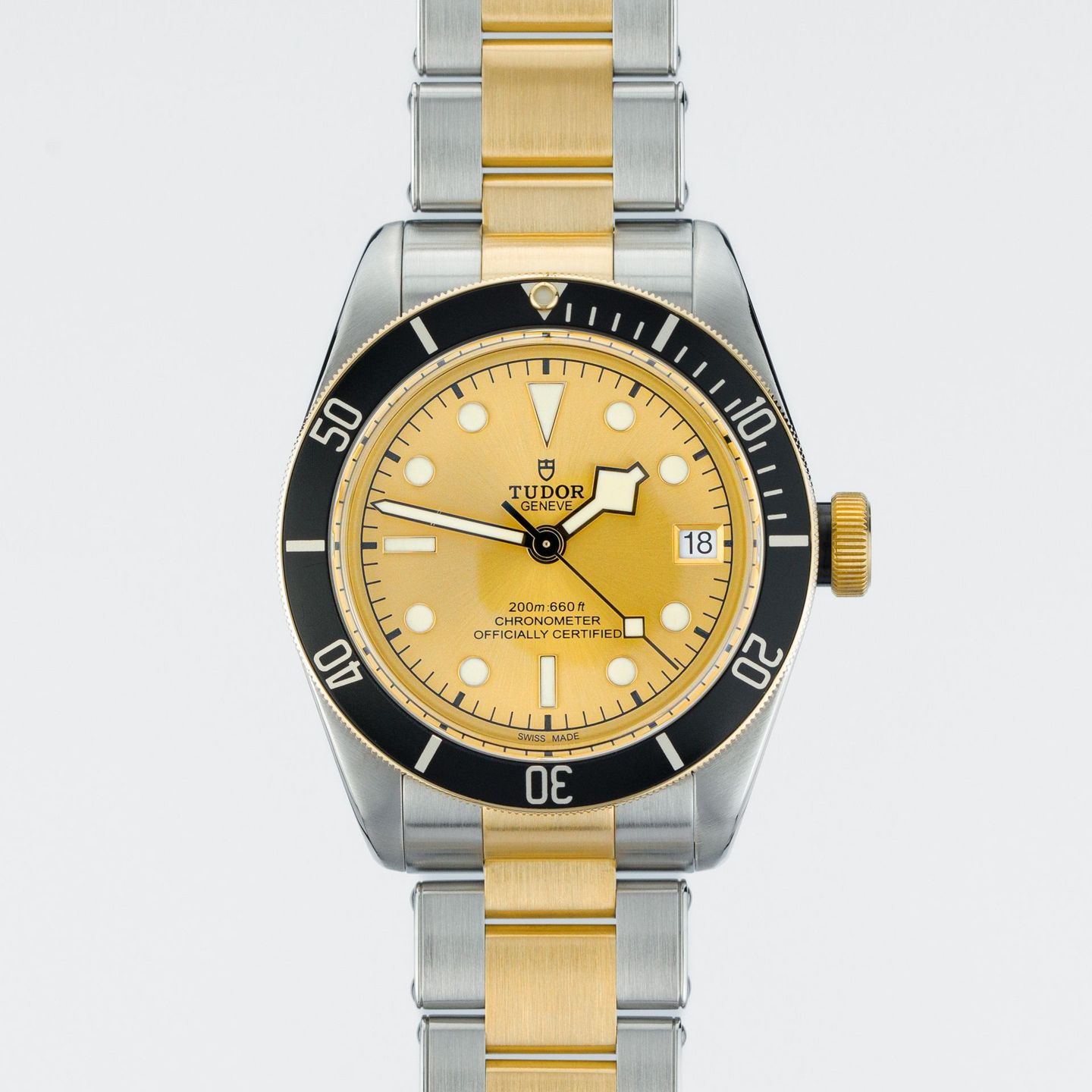 Tudor Black Bay S&G 79733N - (1/4)