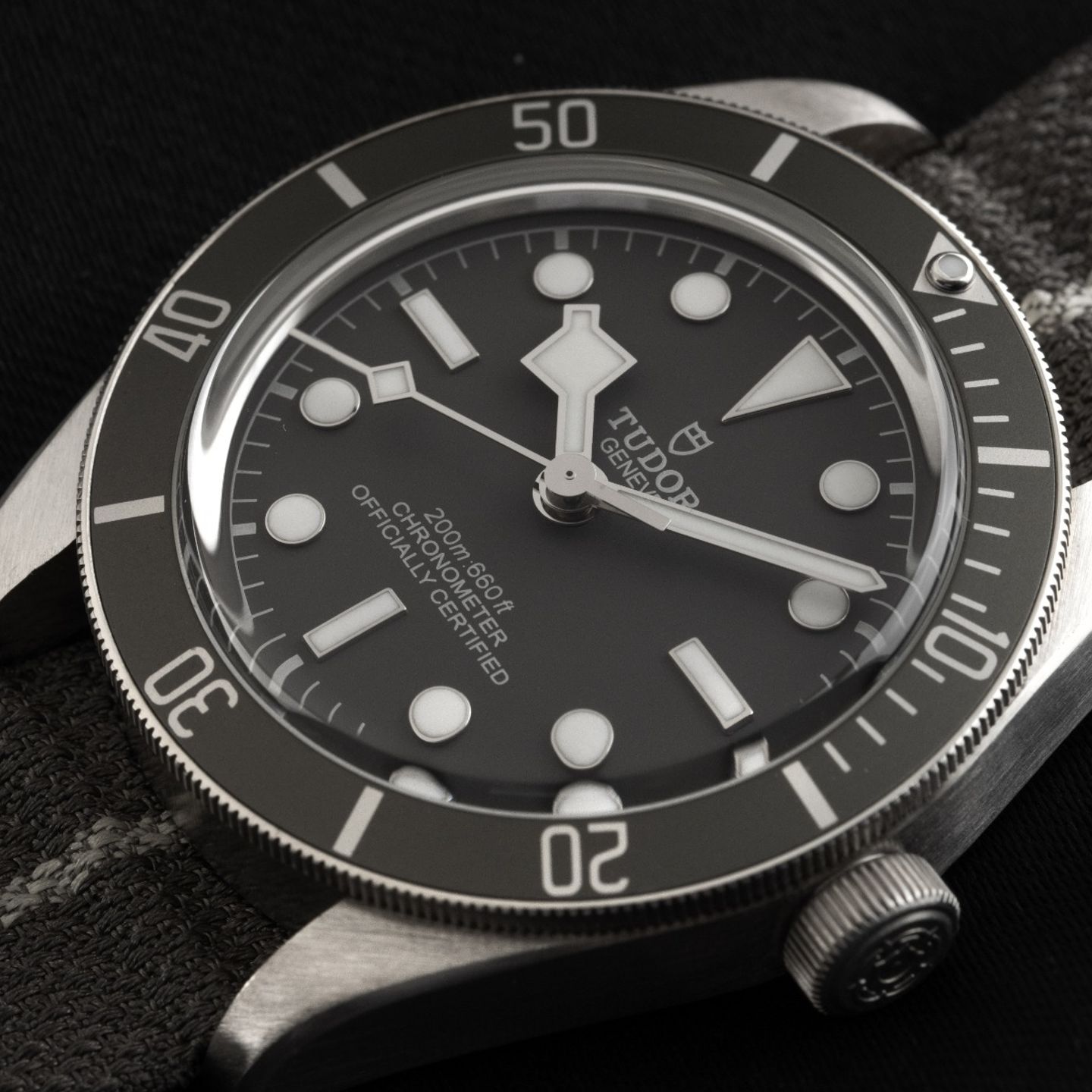 Tudor Black Bay Fifty-Eight 79010SG (2025) - Grijs wijzerplaat 39mm Zilver (3/7)