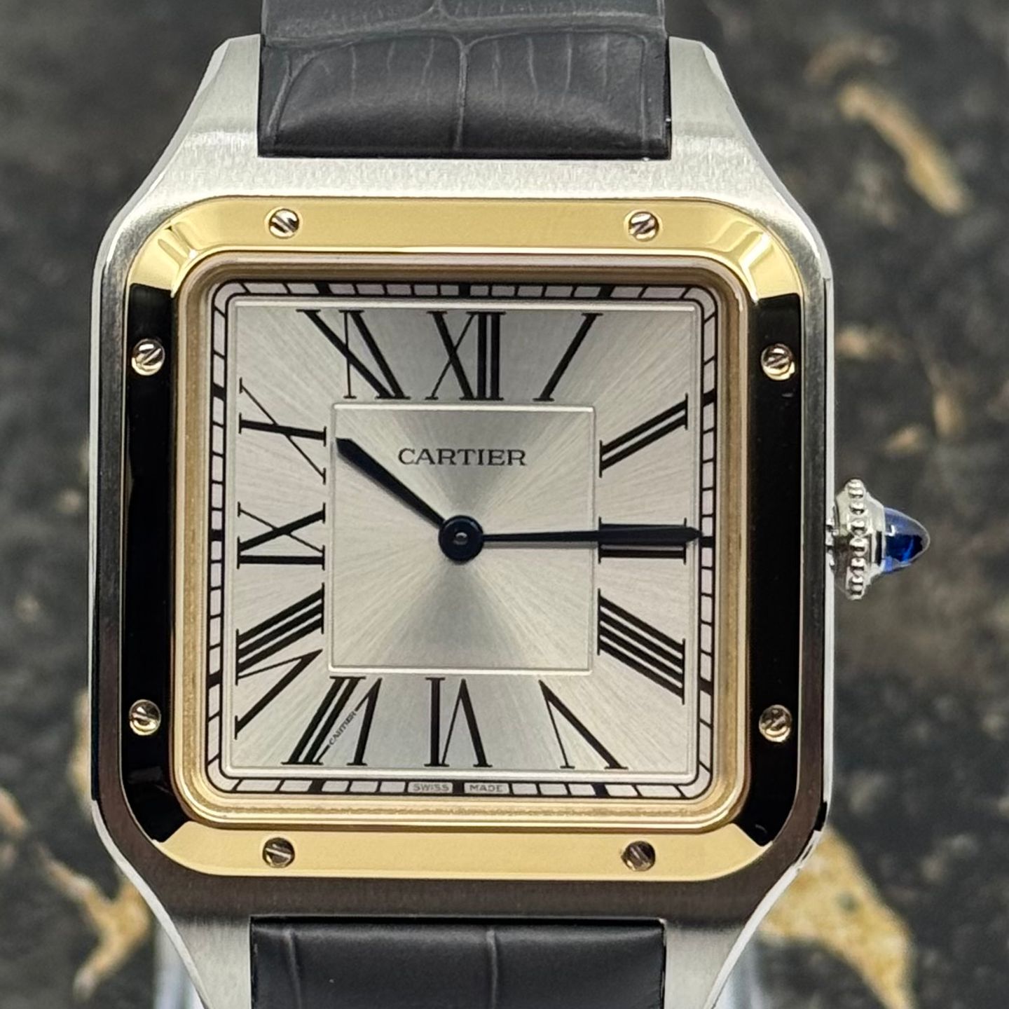 Cartier Santos Dumont W2SA0034 - (8/8)