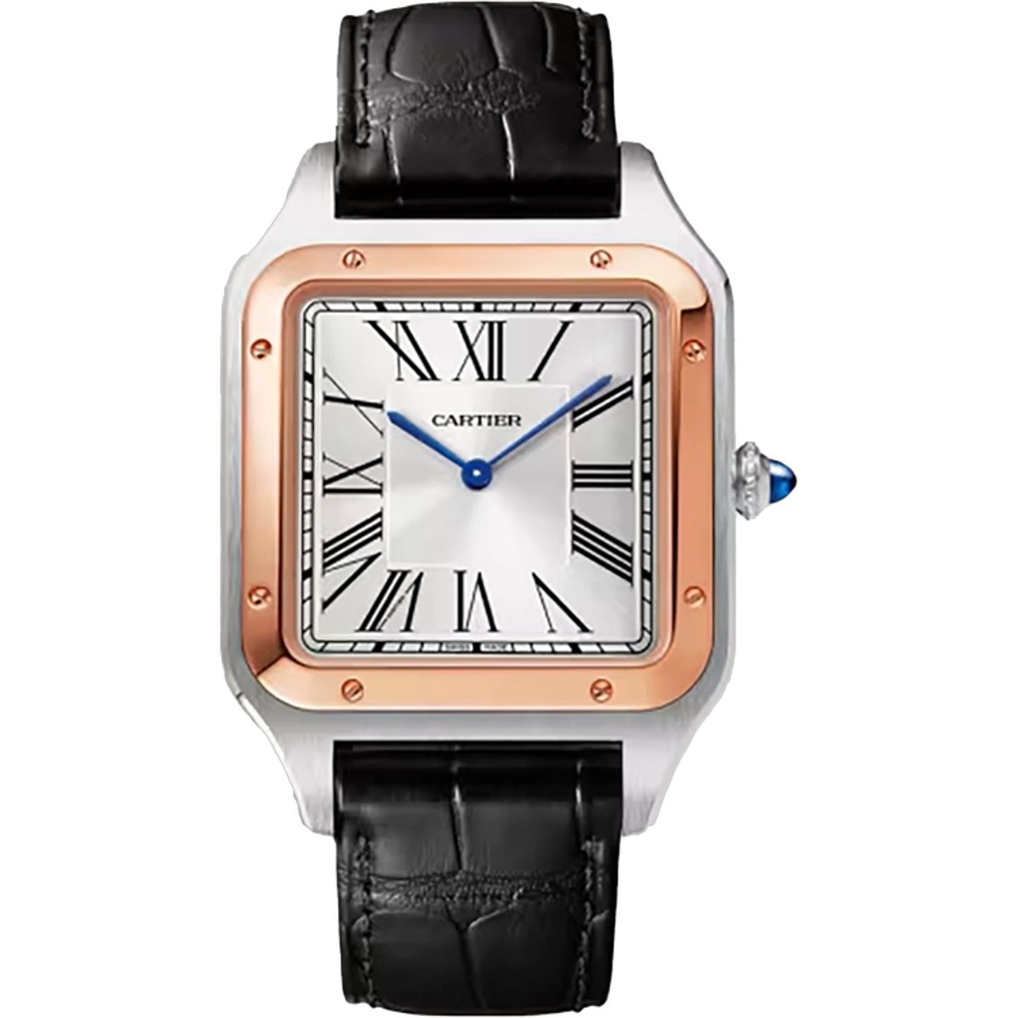 Cartier Santos Dumont W2SA0017 (2025) - Silver dial 47 mm Gold/Steel case (1/1)