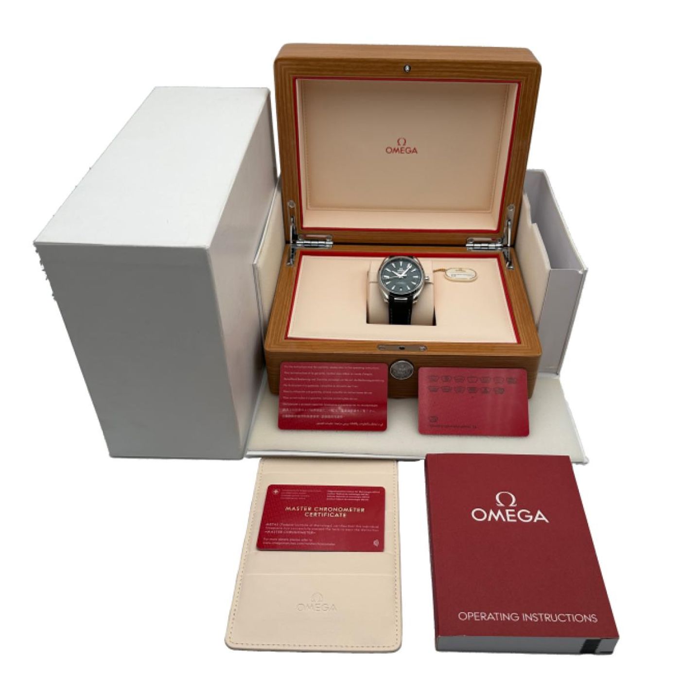 Omega Seamaster Aqua Terra 220.13.41.21.10.001 - (5/5)