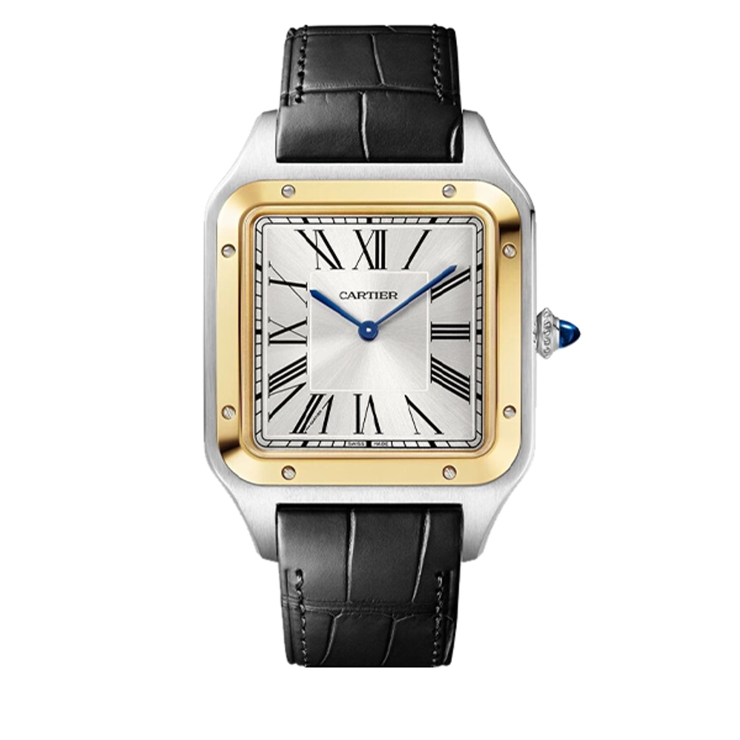Cartier Santos Dumont W2SA0034 - (1/8)