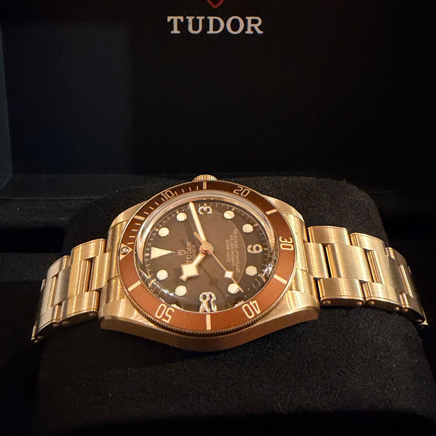 Tudor Black Bay Bronze 79012M - (2/6)